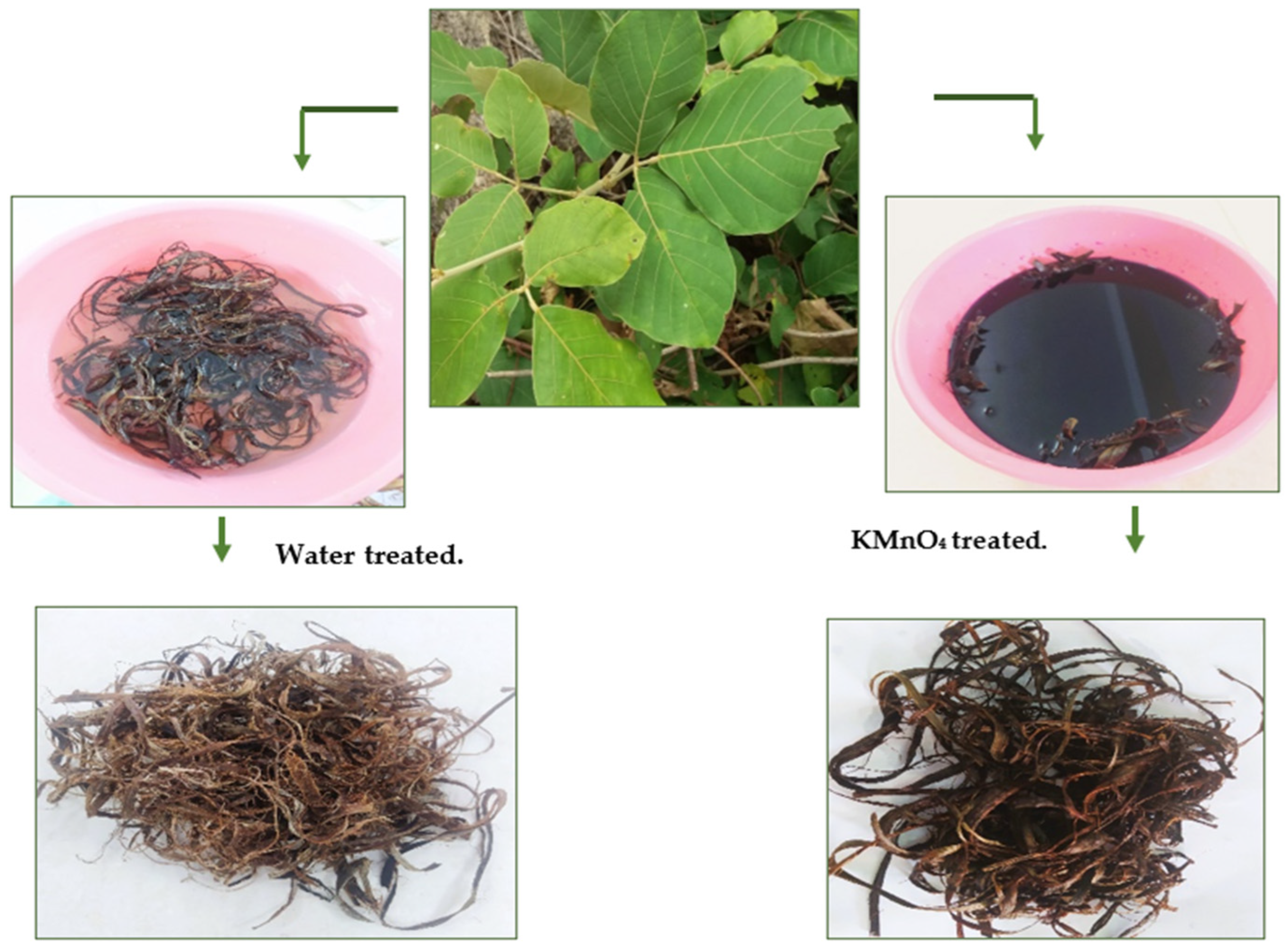 Polymers 15 02197 g001