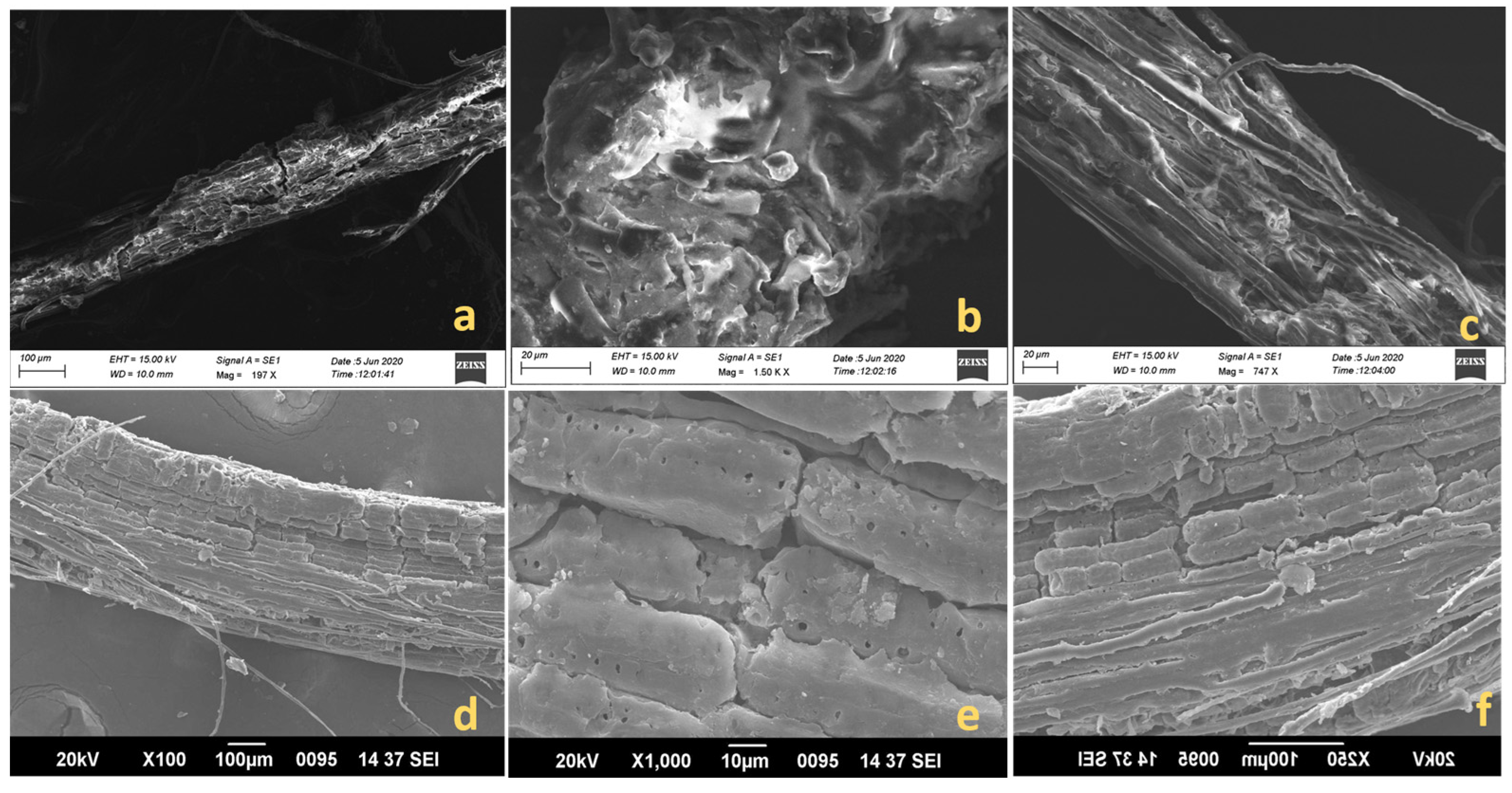 Polymers 15 02197 g007