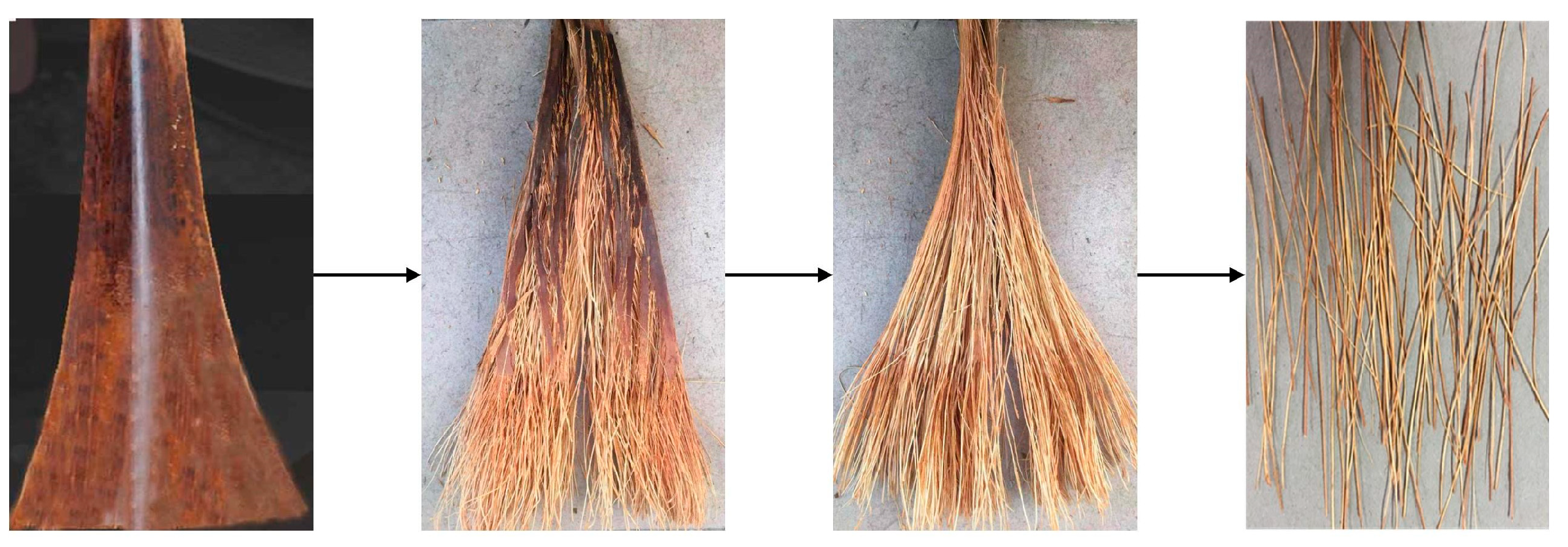 Polymers 15 02200 g001 Polymers 15 02200 g001