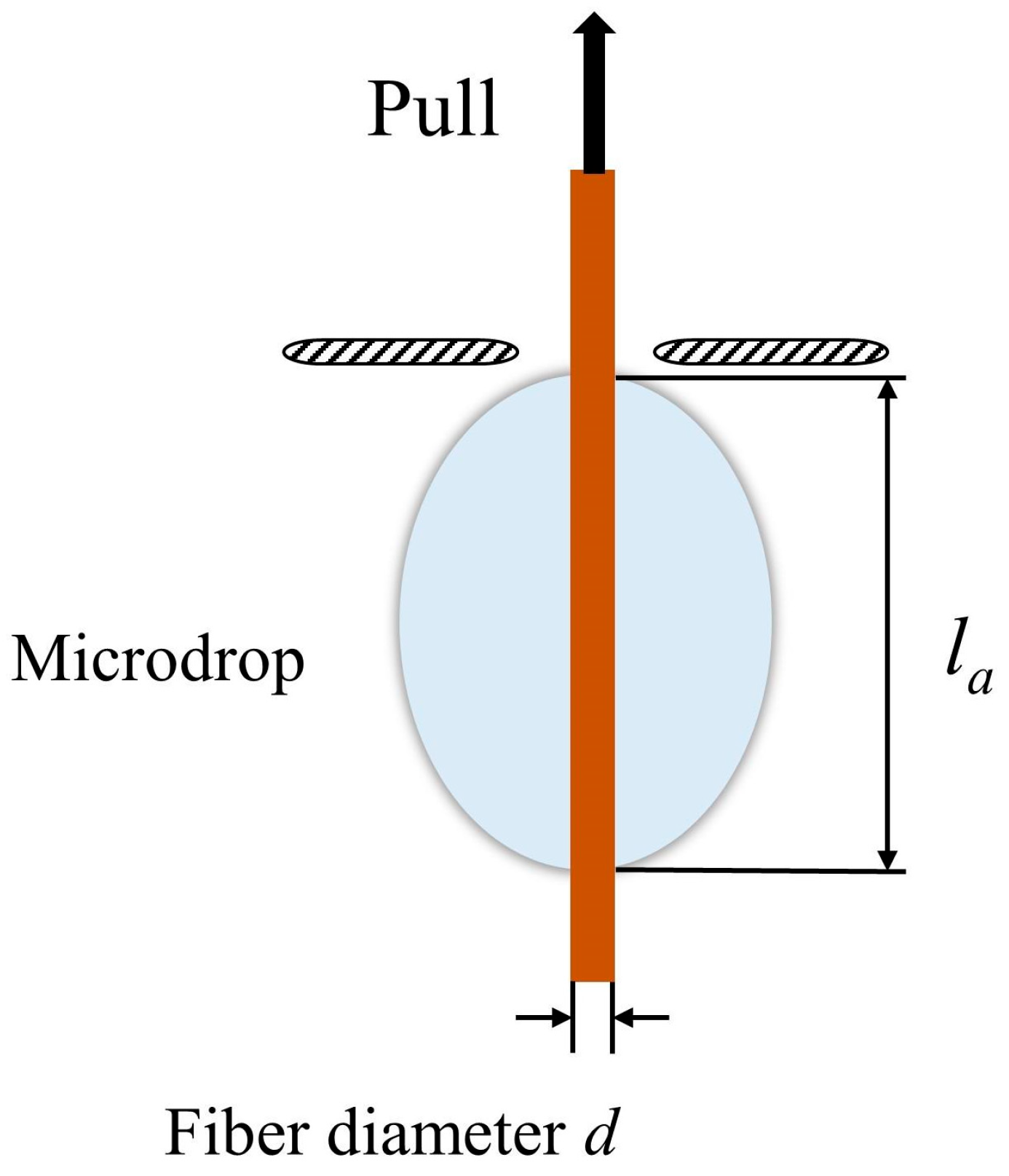 Polymers 15 02200 g002 Polymers 15 02200 g002