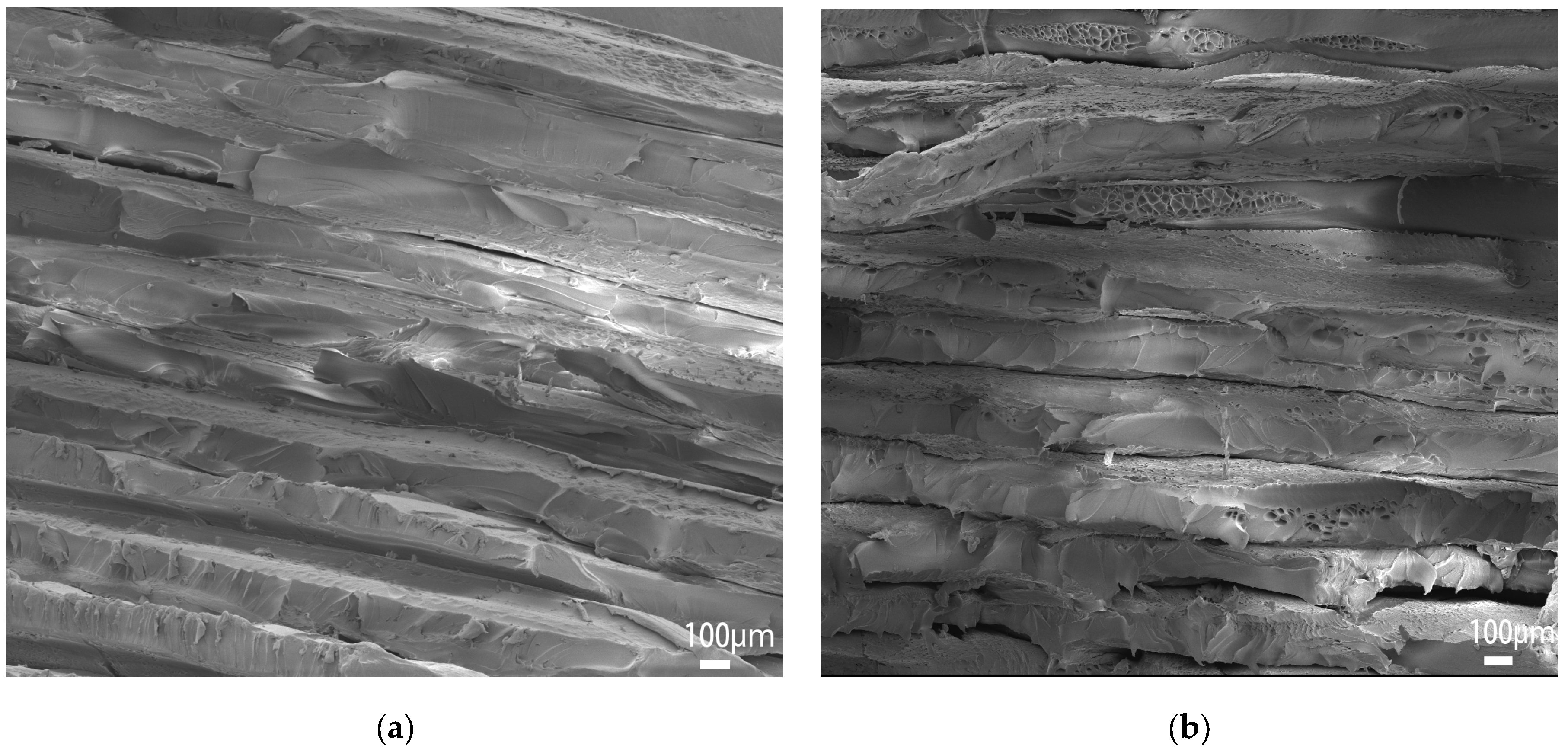 Polymers 15 02209 g011a Polymers 15 02209 g011a