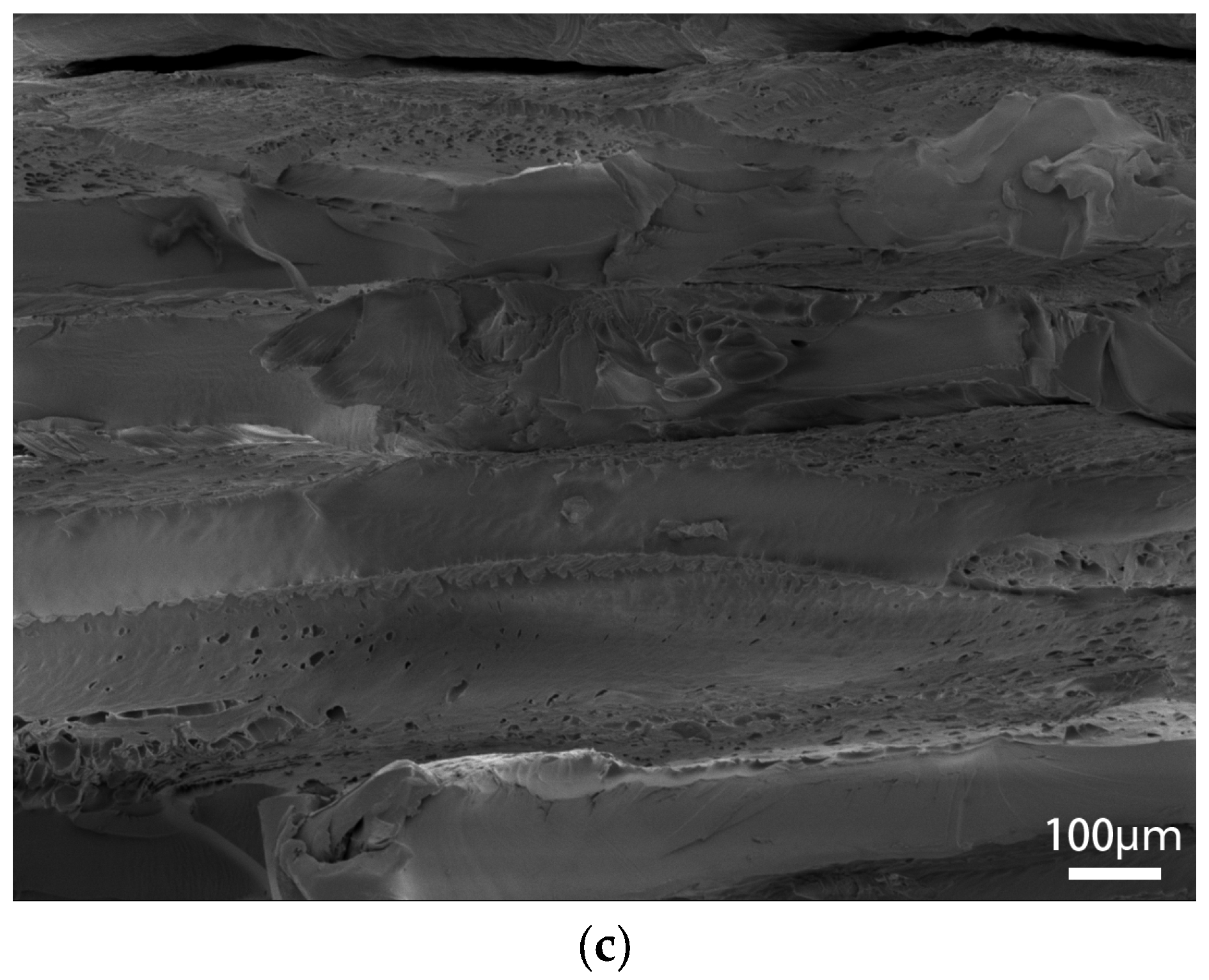 Polymers 15 02209 g011b Polymers 15 02209 g011b