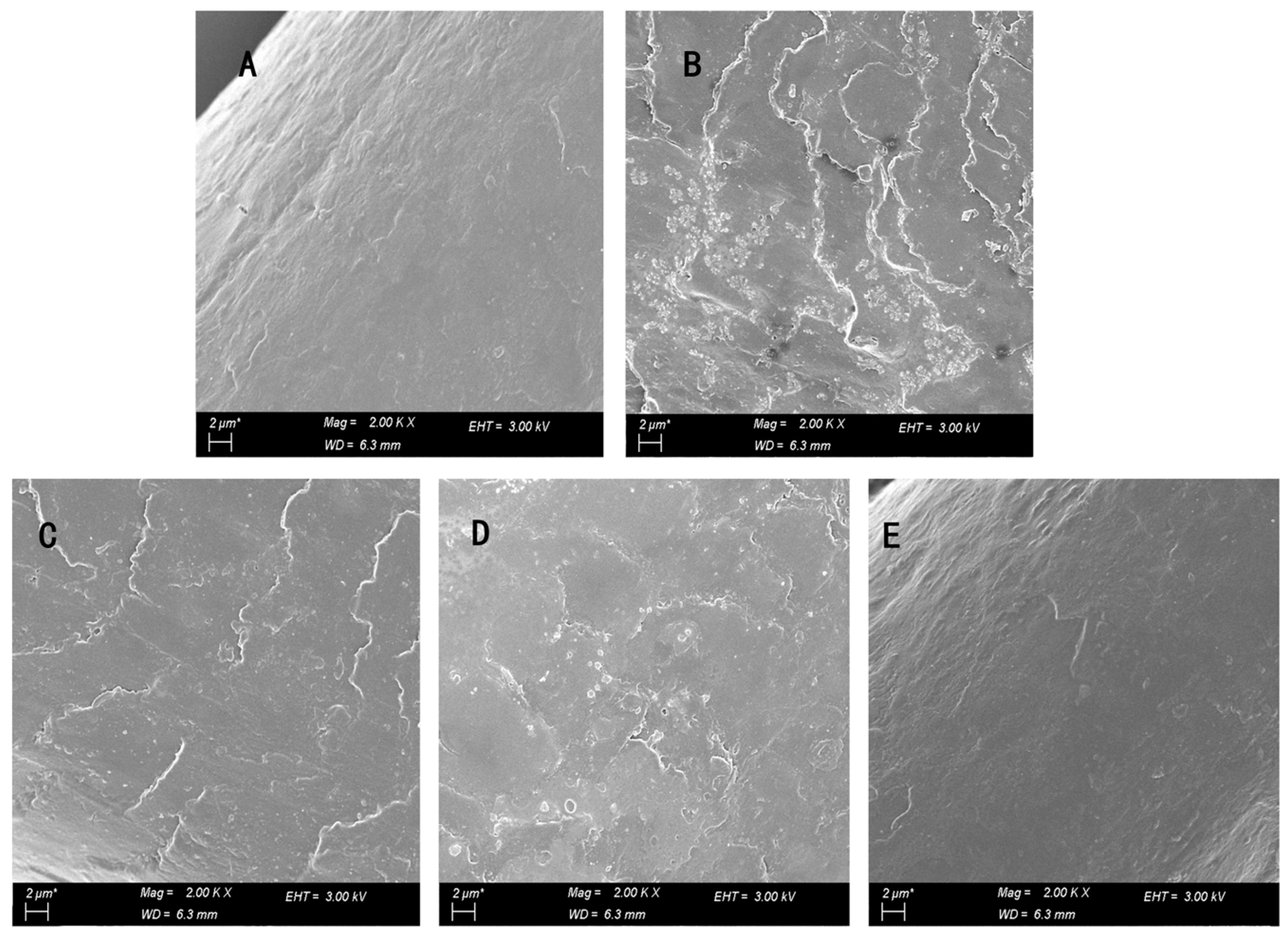 Polymers 15 02210 g005