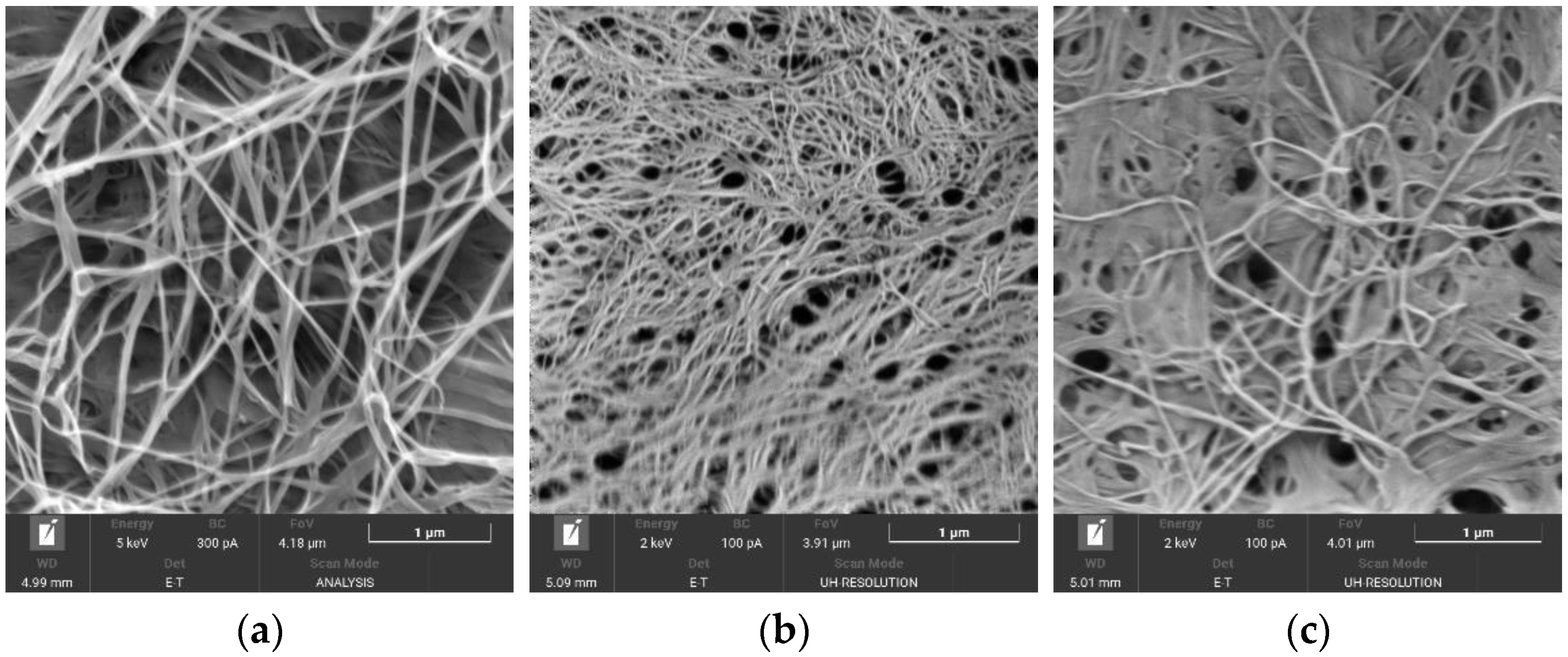 Polymers 15 02213 g003