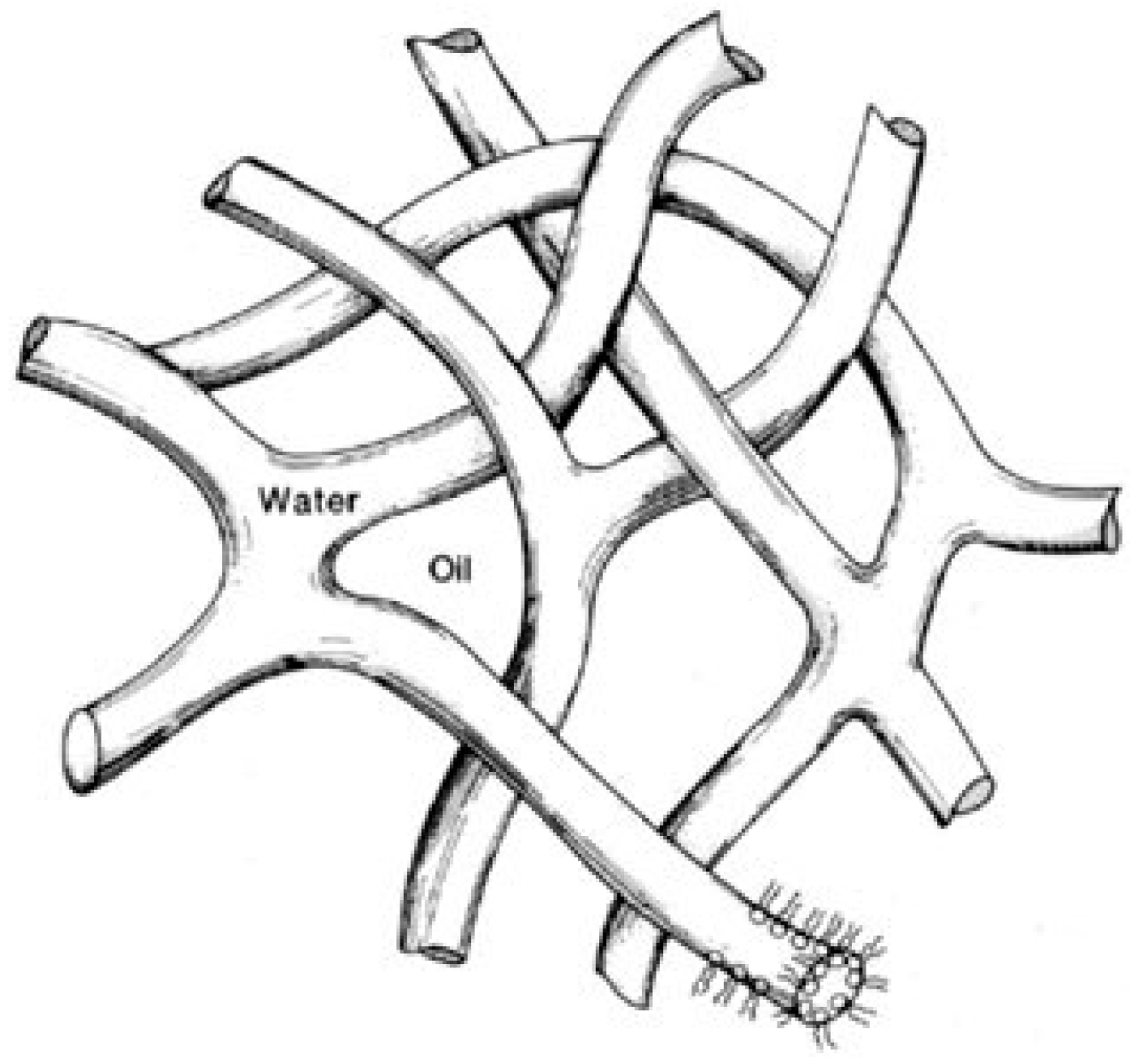 Polymers 15 02214 g002 Polymers 15 02214 g002