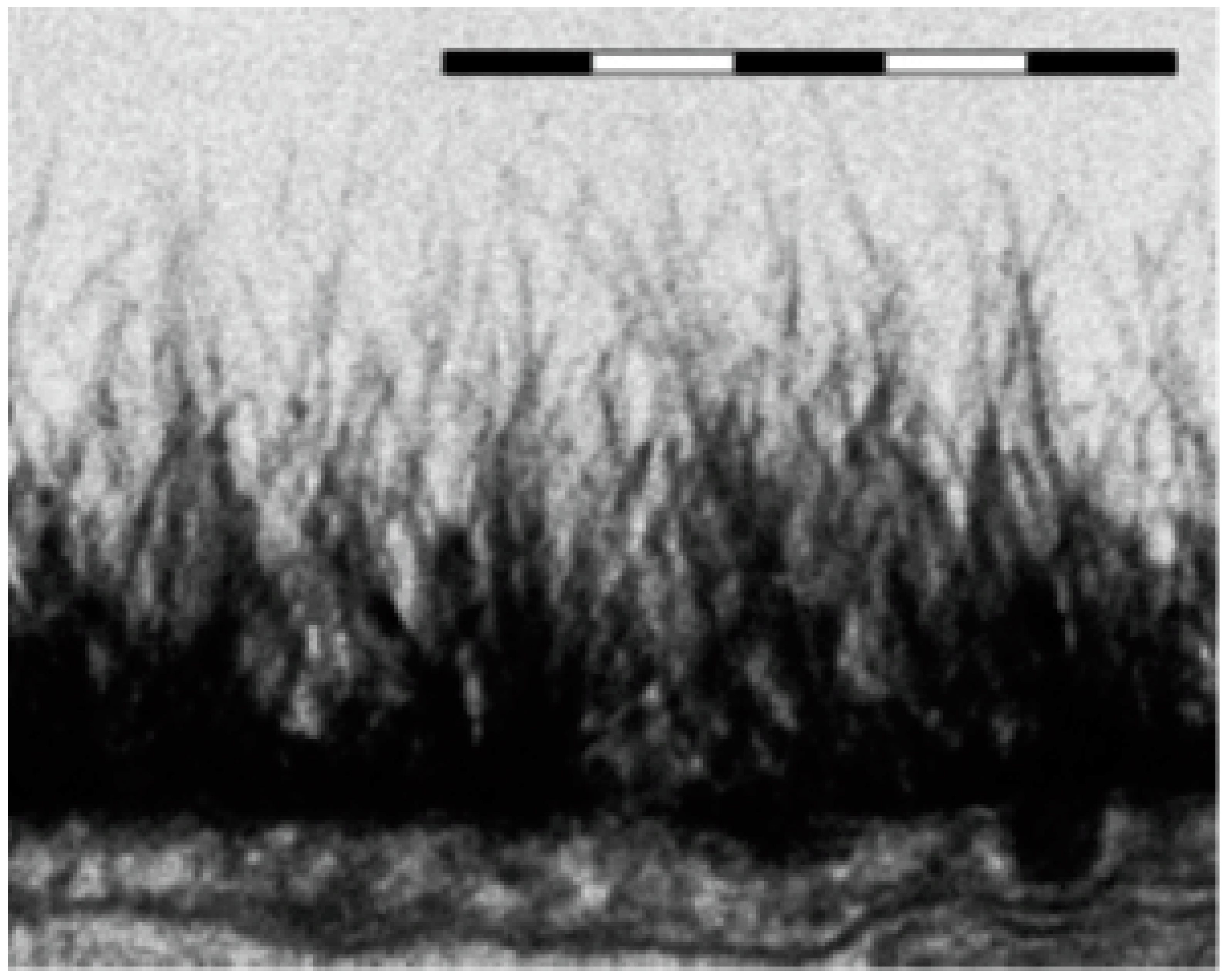 Polymers 15 02214 g029 Polymers 15 02214 g029