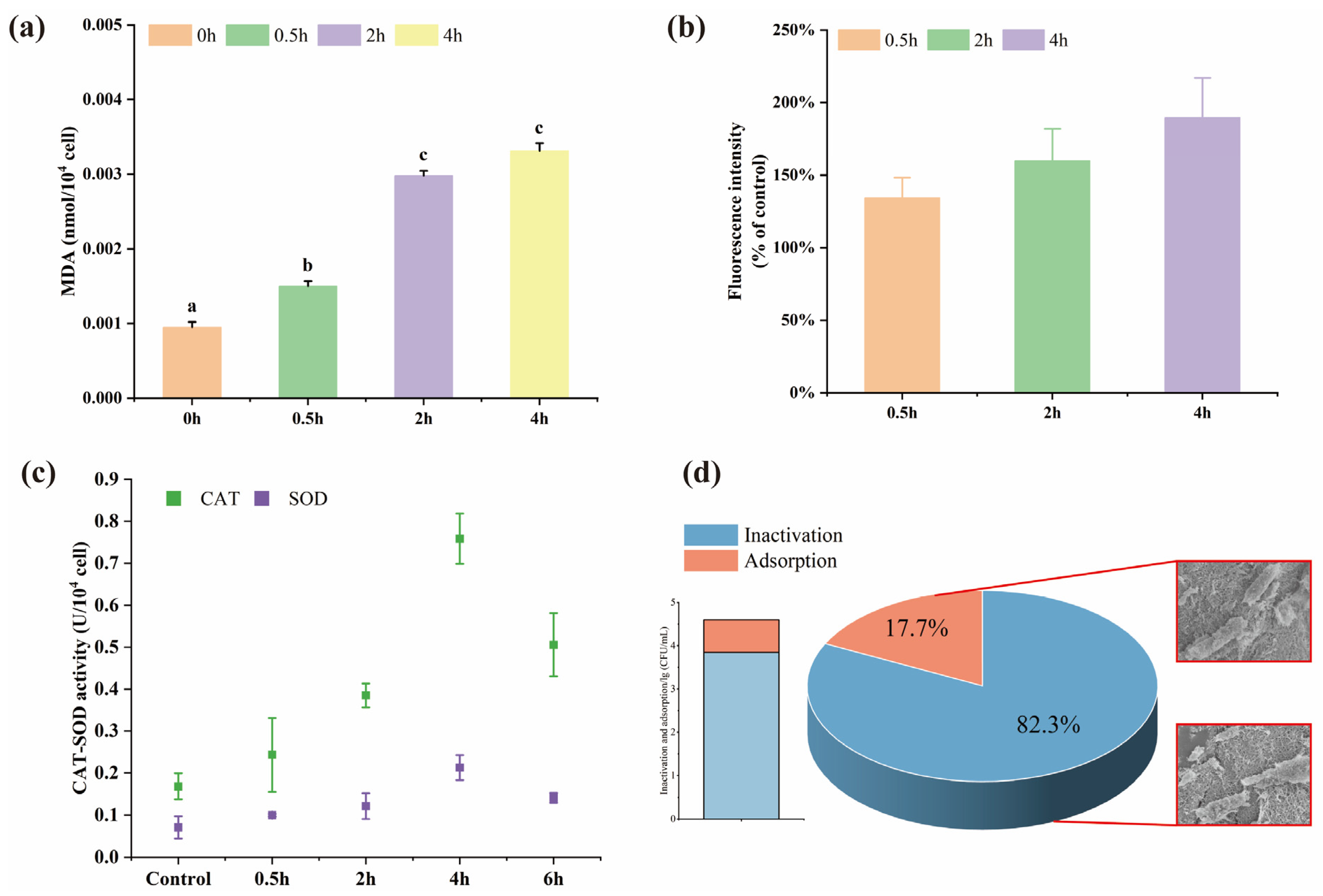 Polymers 15 02215 g008 Polymers 15 02215 g008