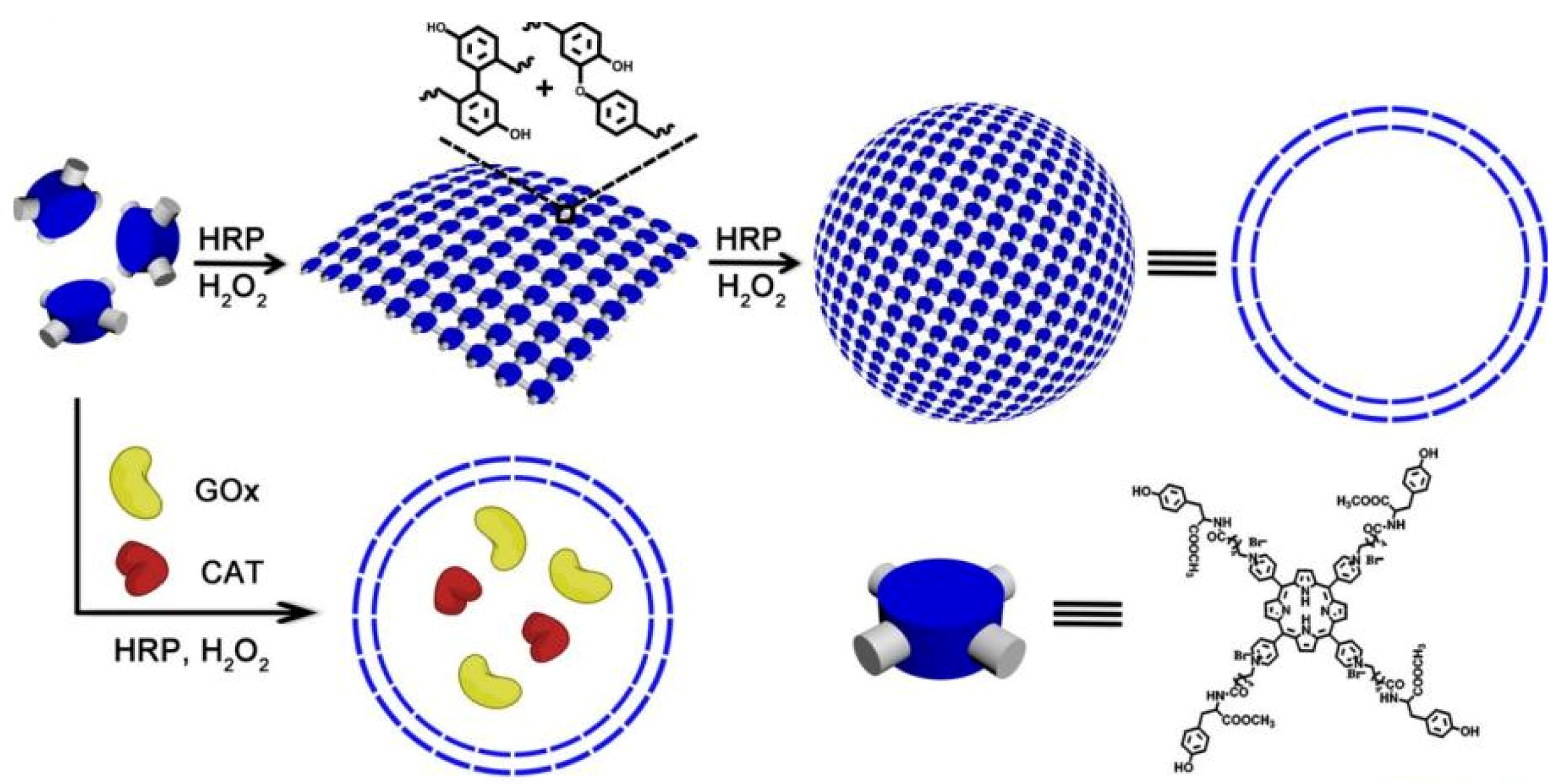 Polymers 15 02219 g003 550