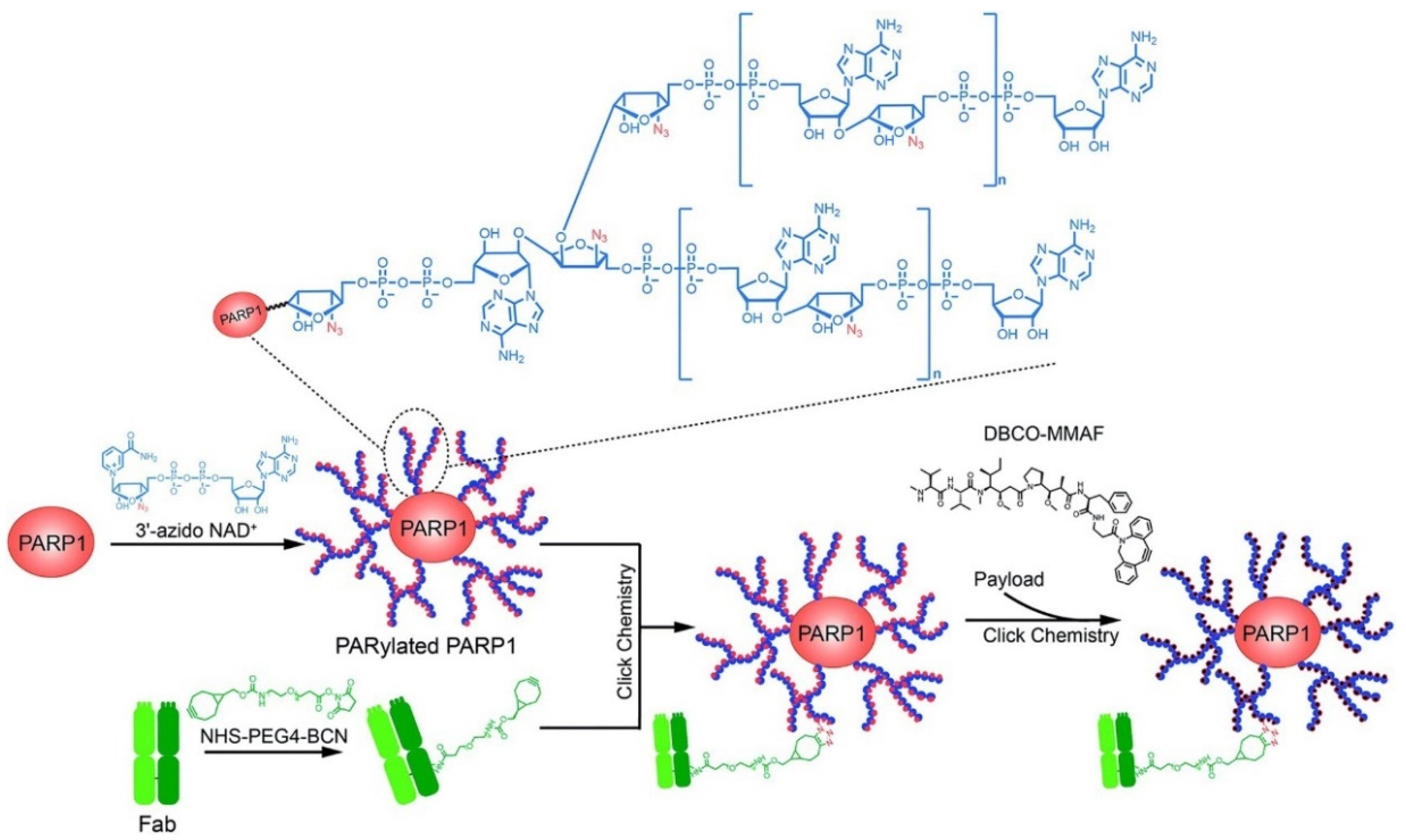 Polymers 15 02219 g006