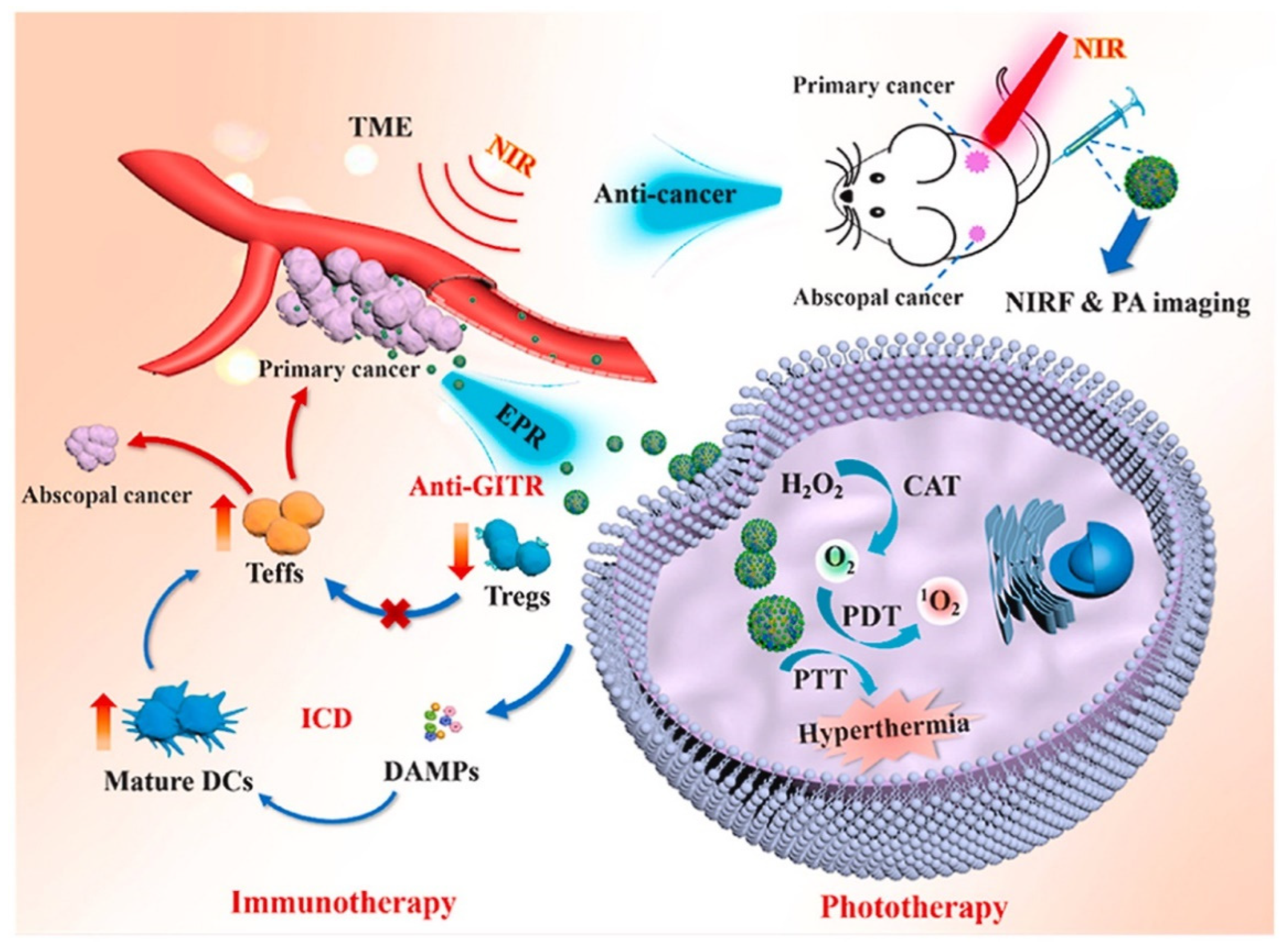 Polymers 15 02219 g010