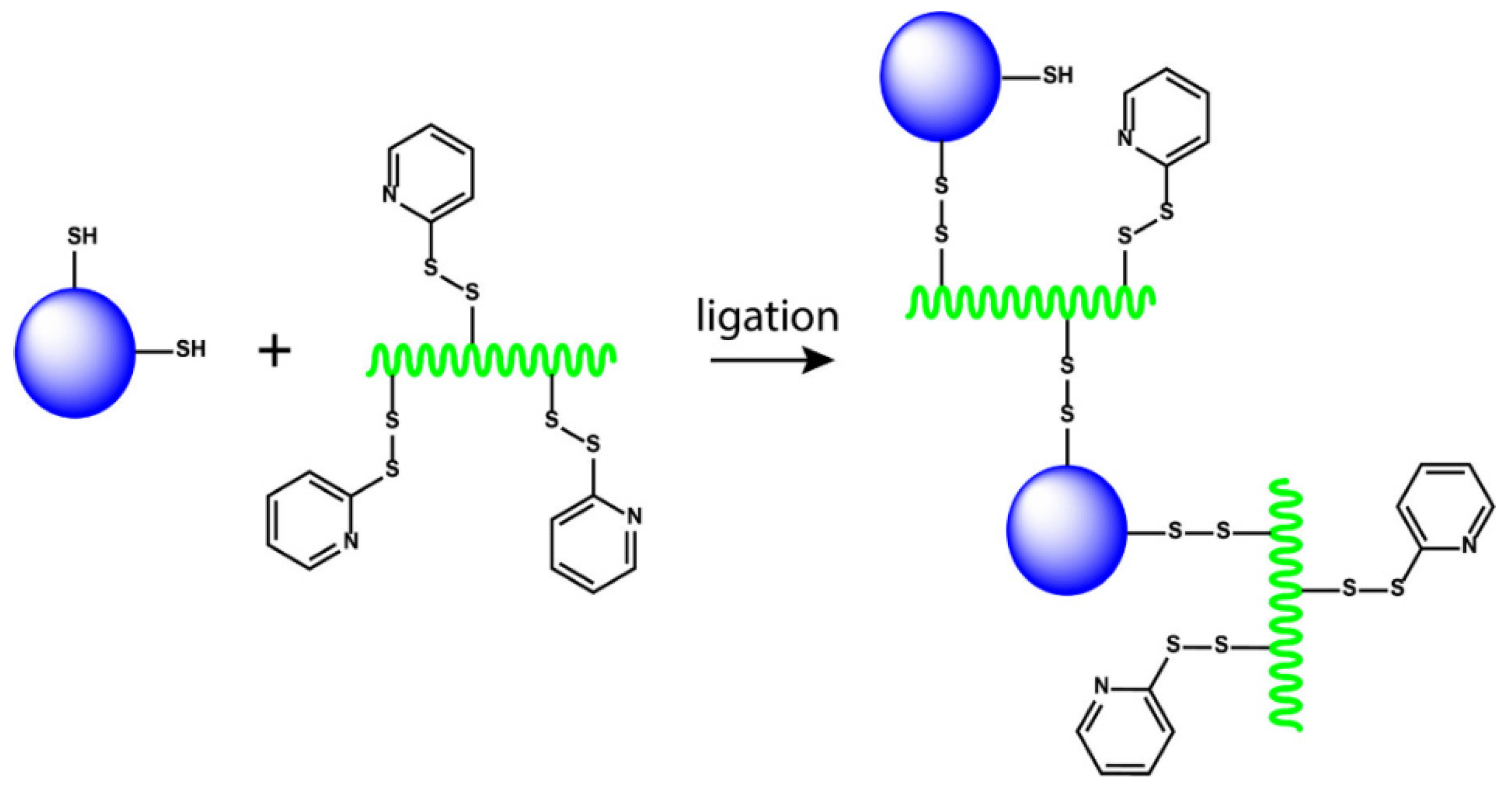 Polymers 15 02219 g012