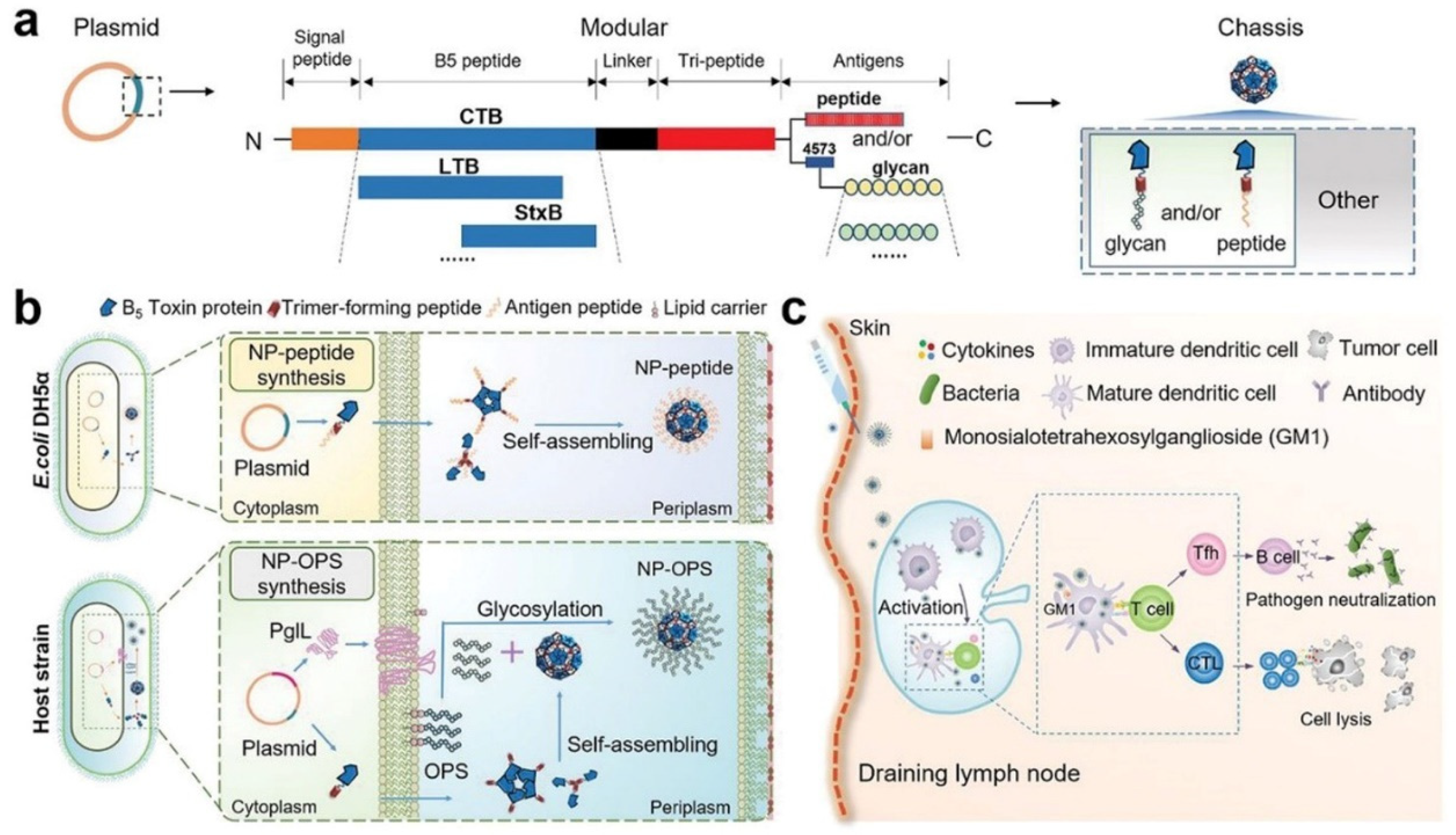 Polymers 15 02219 g013
