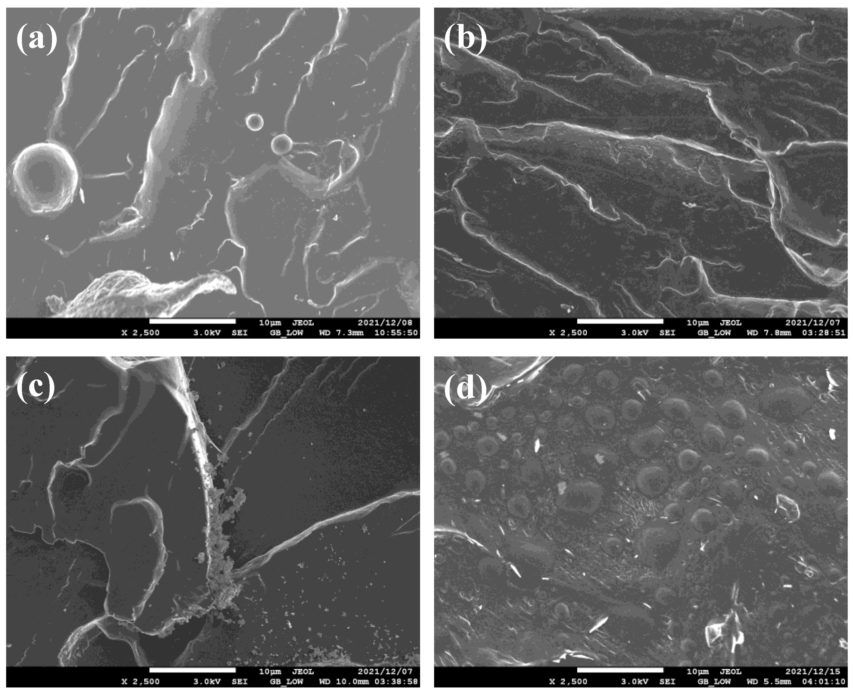 Polymers | Free Full-Text | Investigation of the Effects of Chain ...