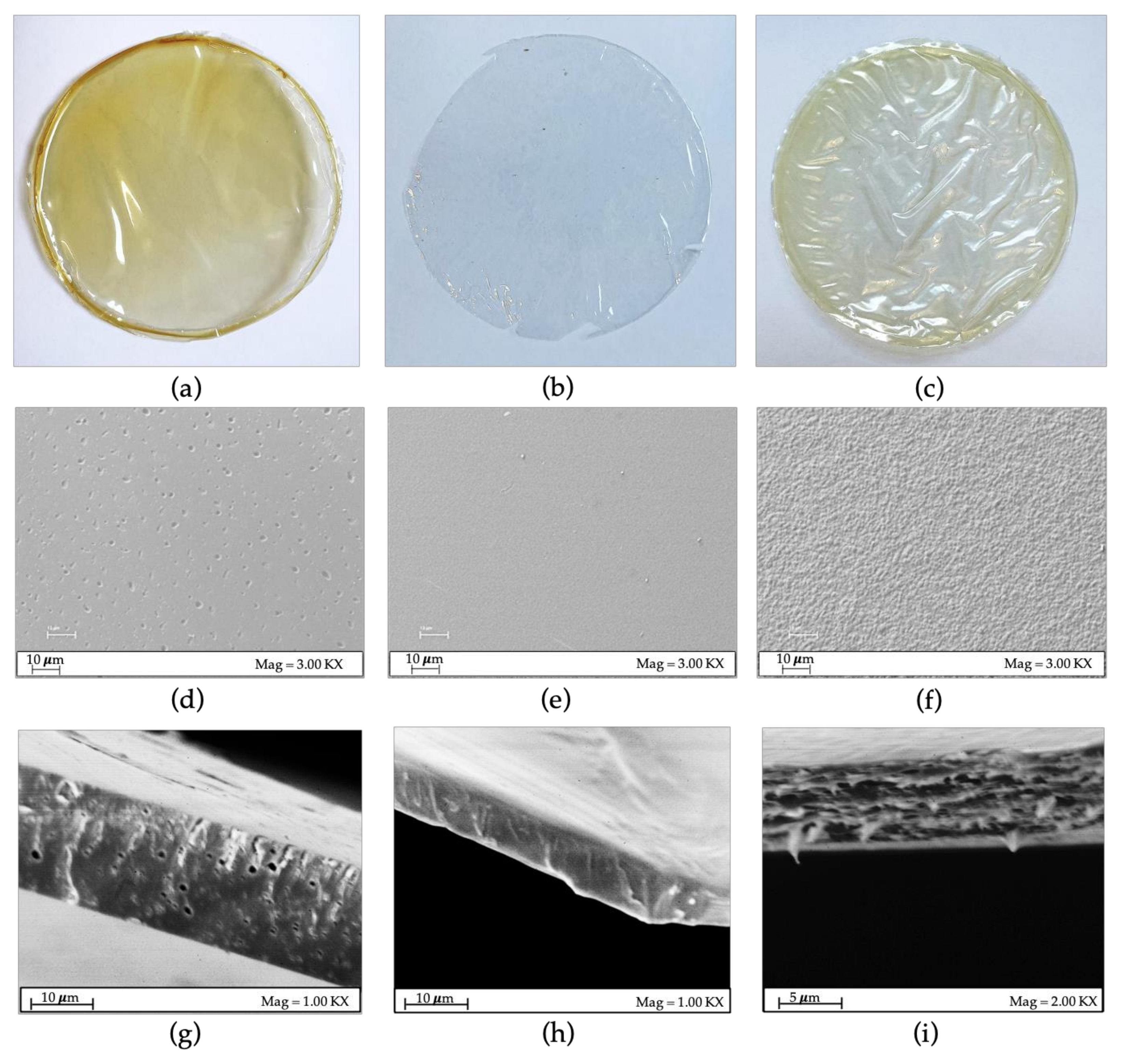 Polymers 15 02231 g002