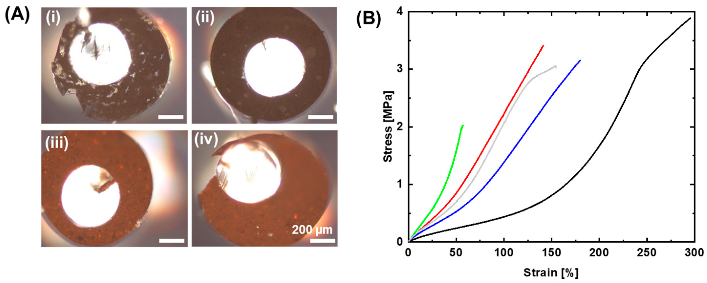 Polymers 15 02233 g004