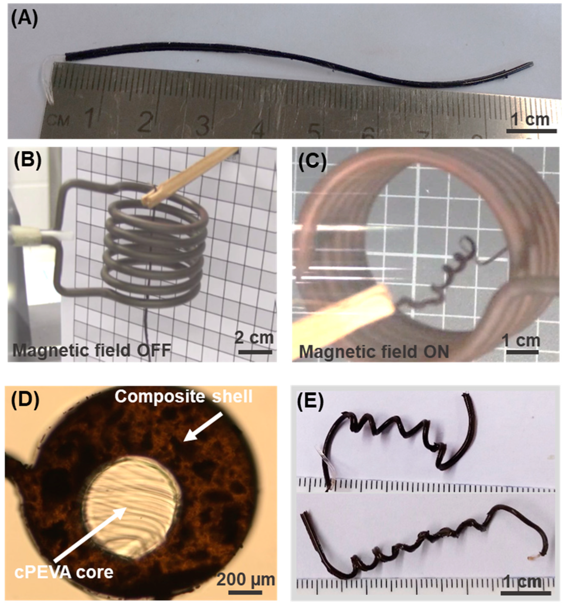 Polymers 15 02233 g005