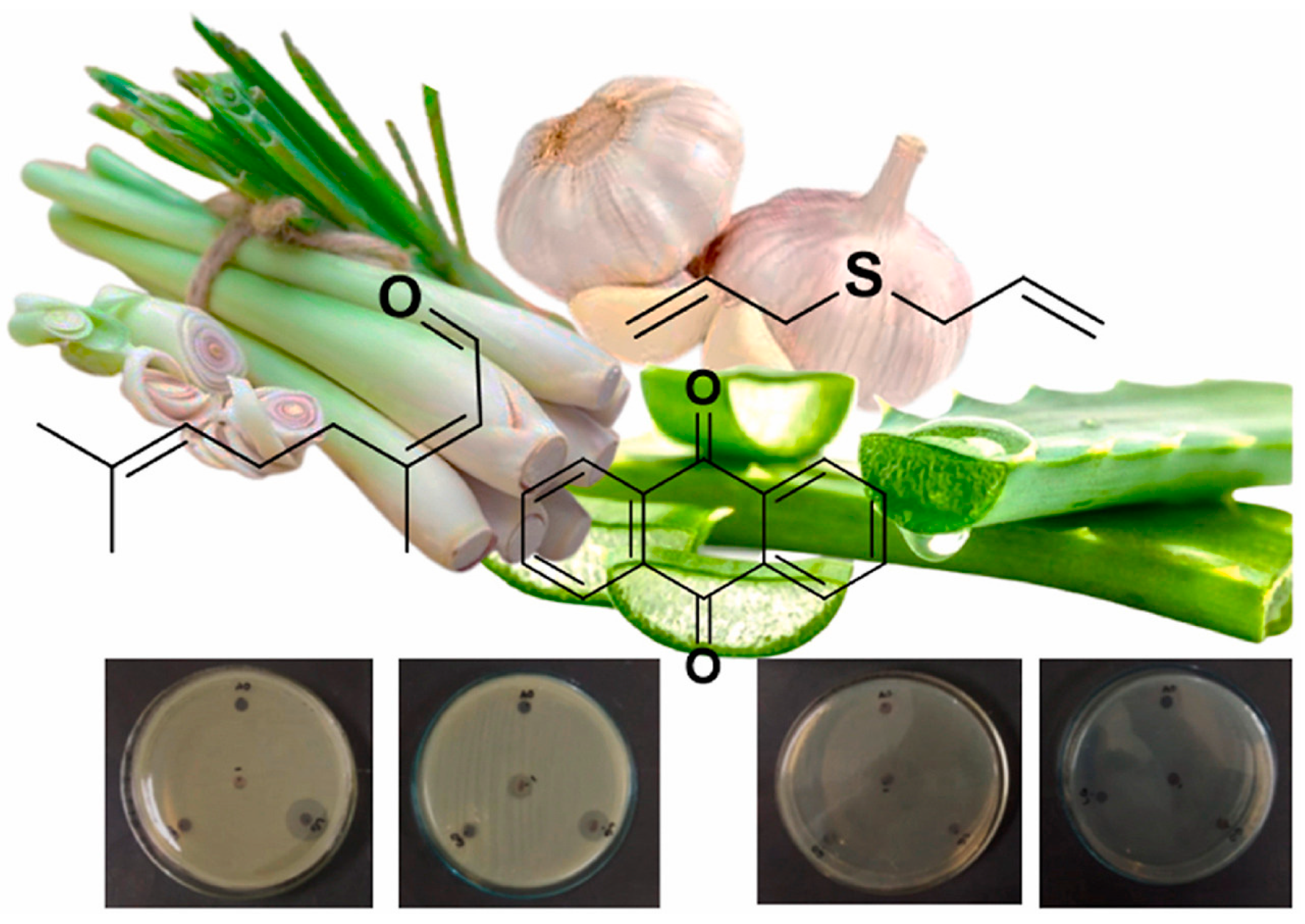 Polymers 15 02235 g003 Polymers 15 02235 g003