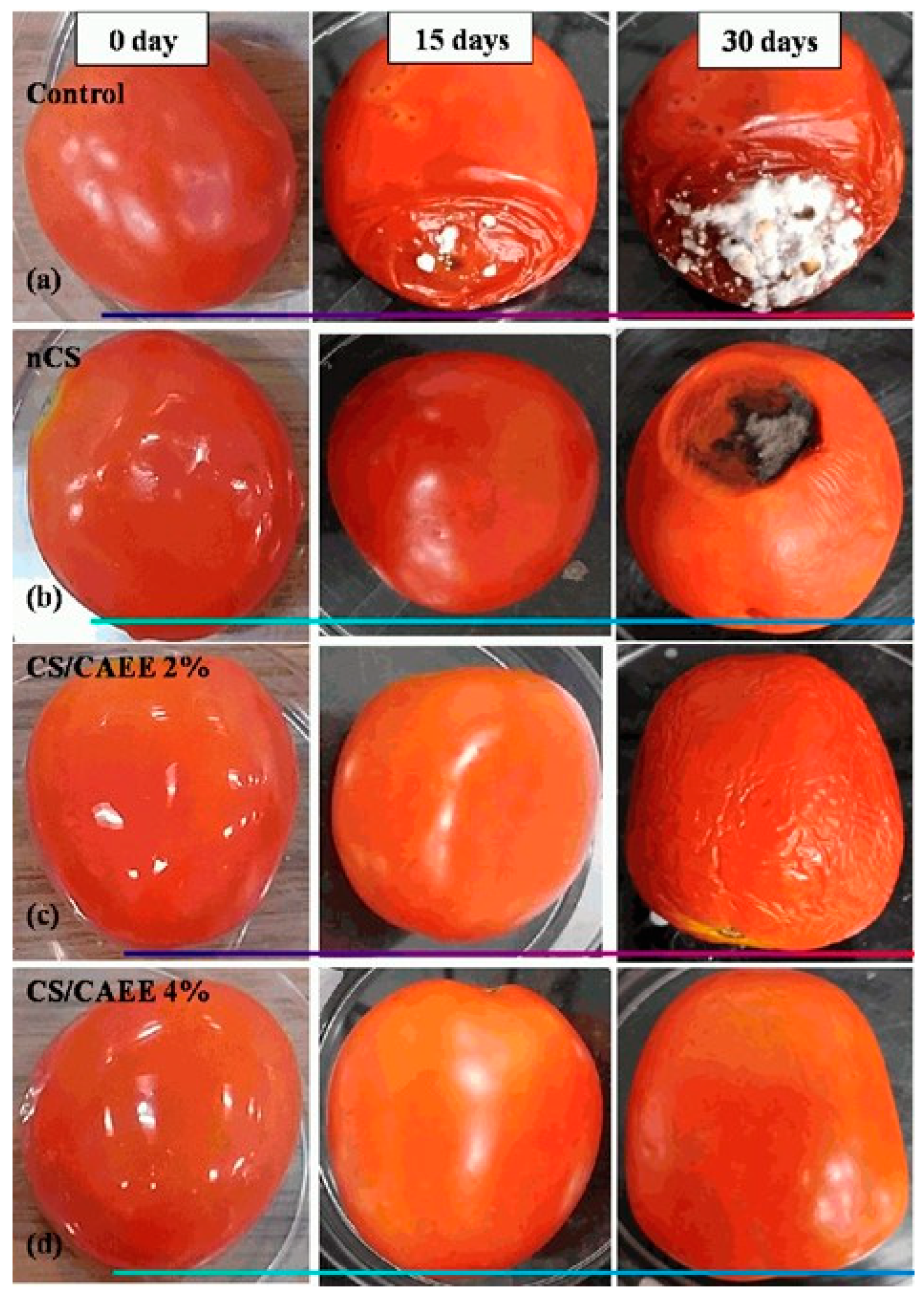 Polymers 15 02235 g004 Polymers 15 02235 g004