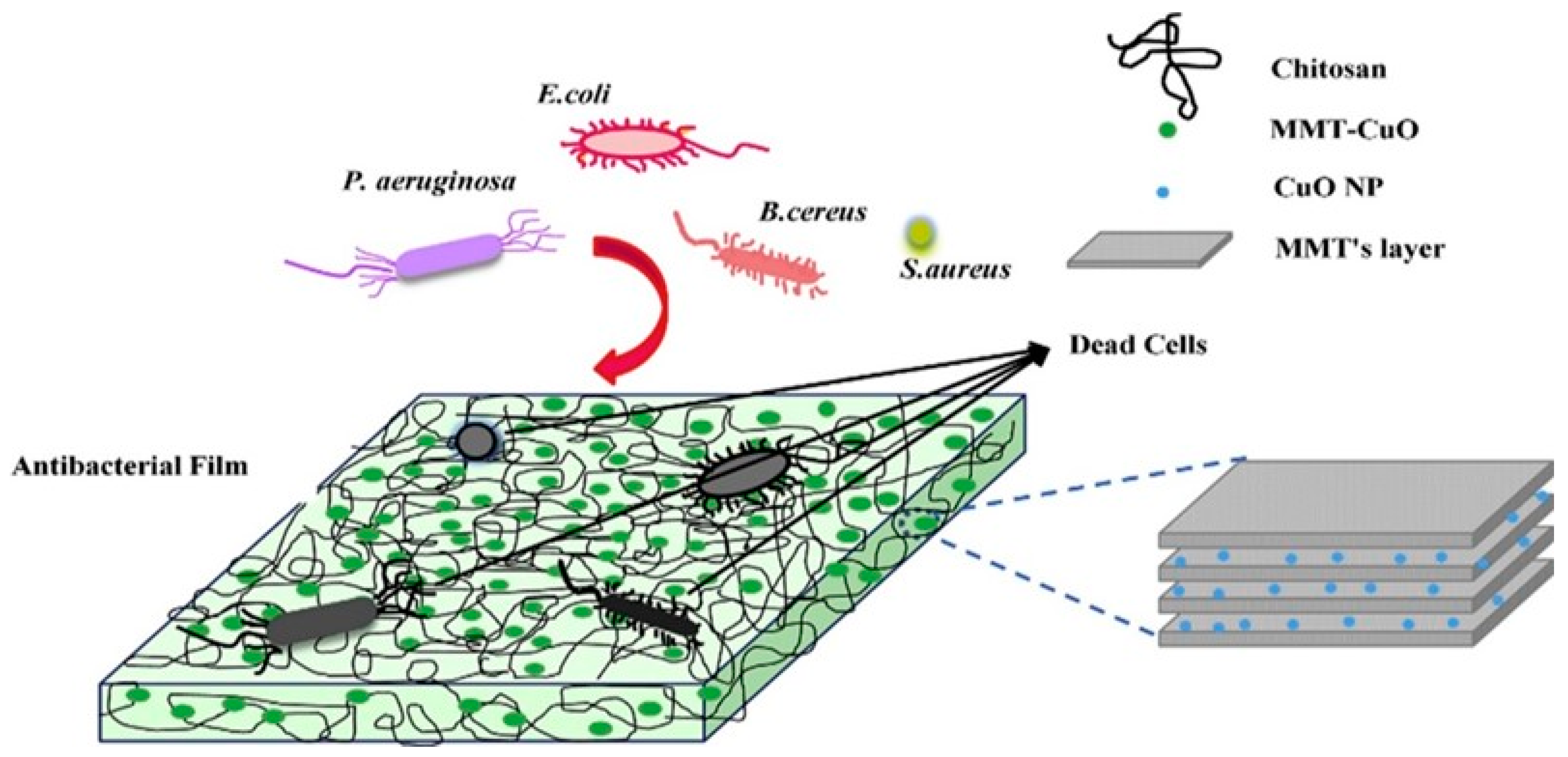 Polymers 15 02235 g008 Polymers 15 02235 g008