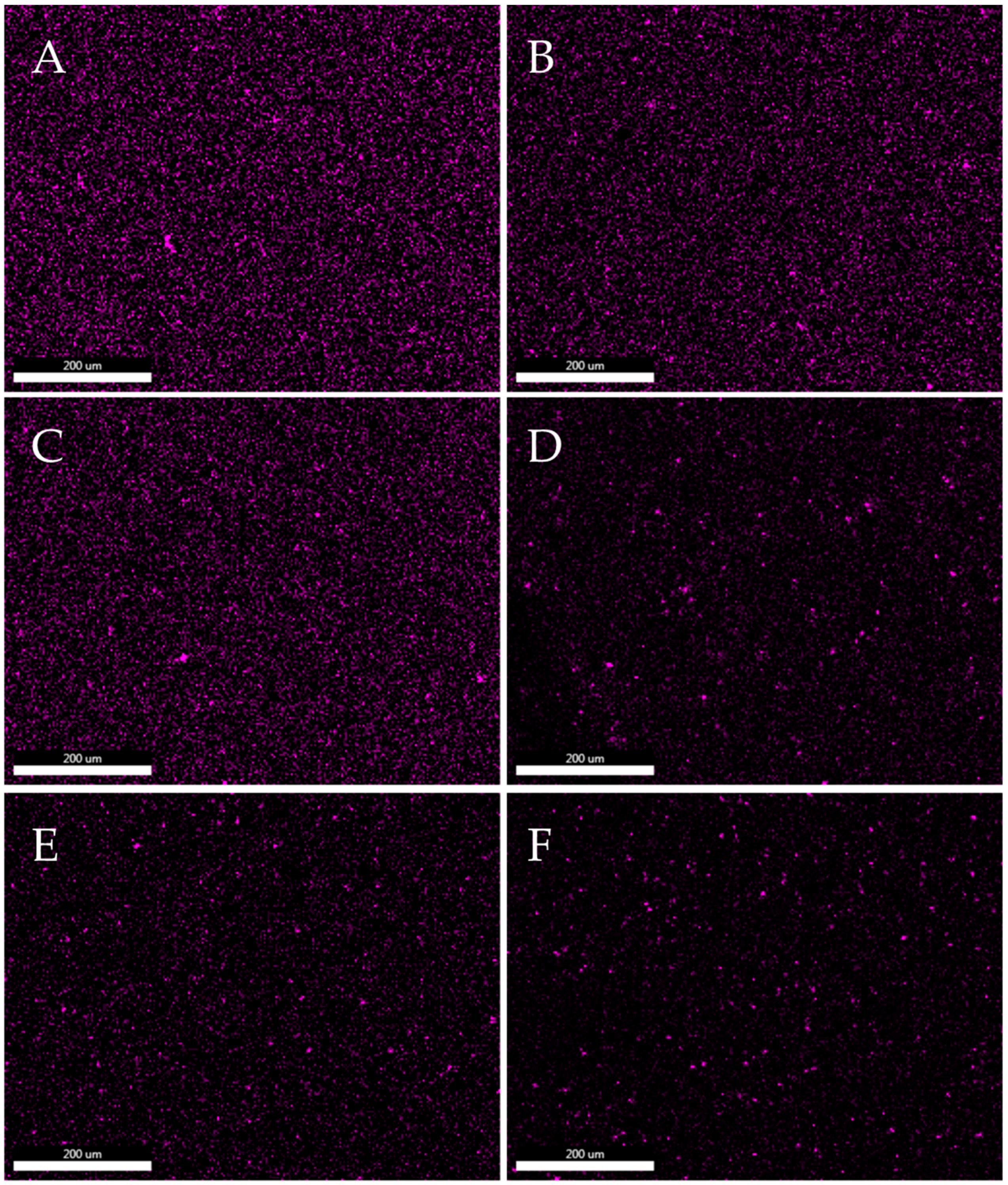 Polymers 15 02236 g012