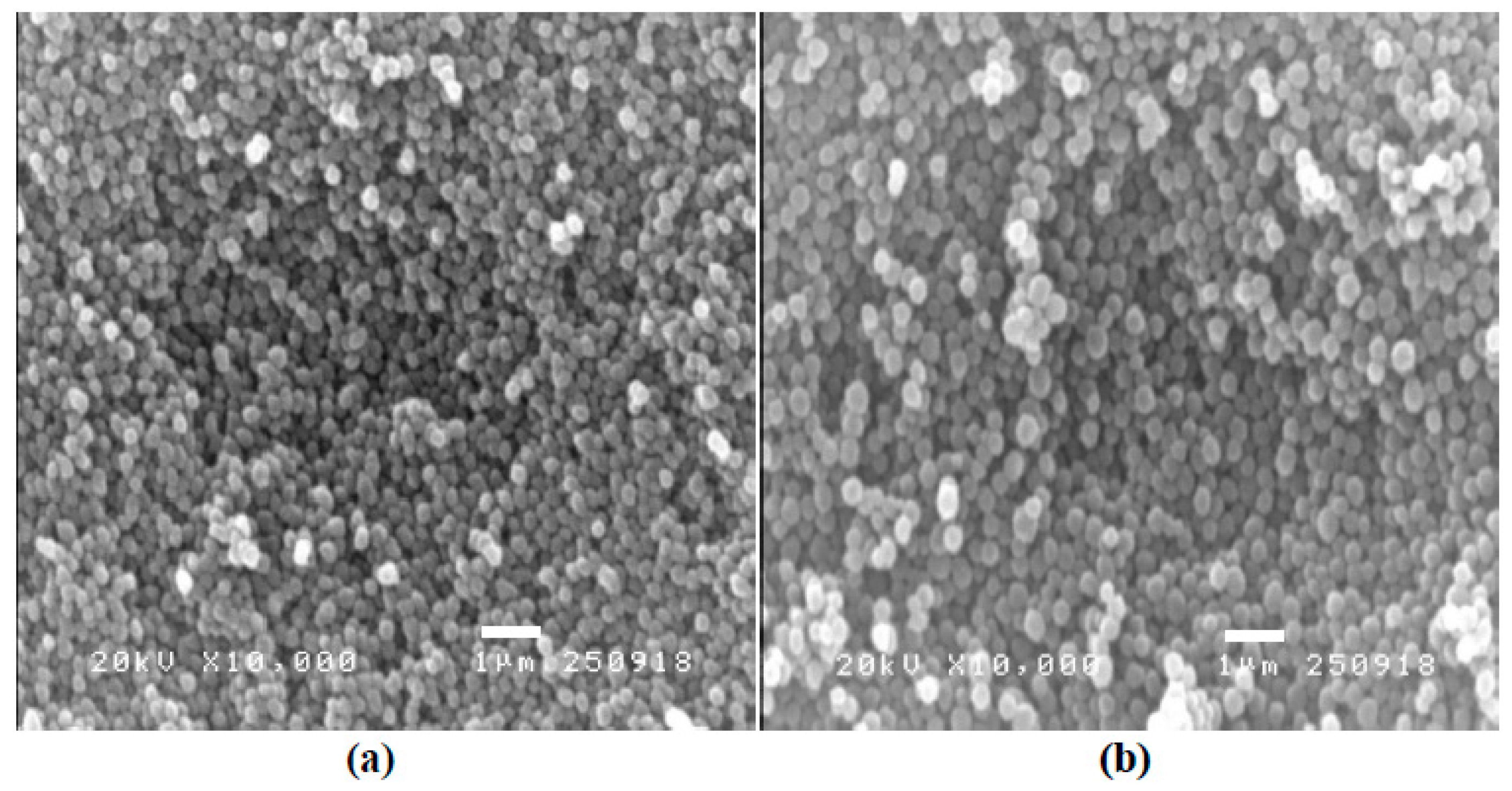 Polymers 15 02241 g002 Polymers 15 02241 g002