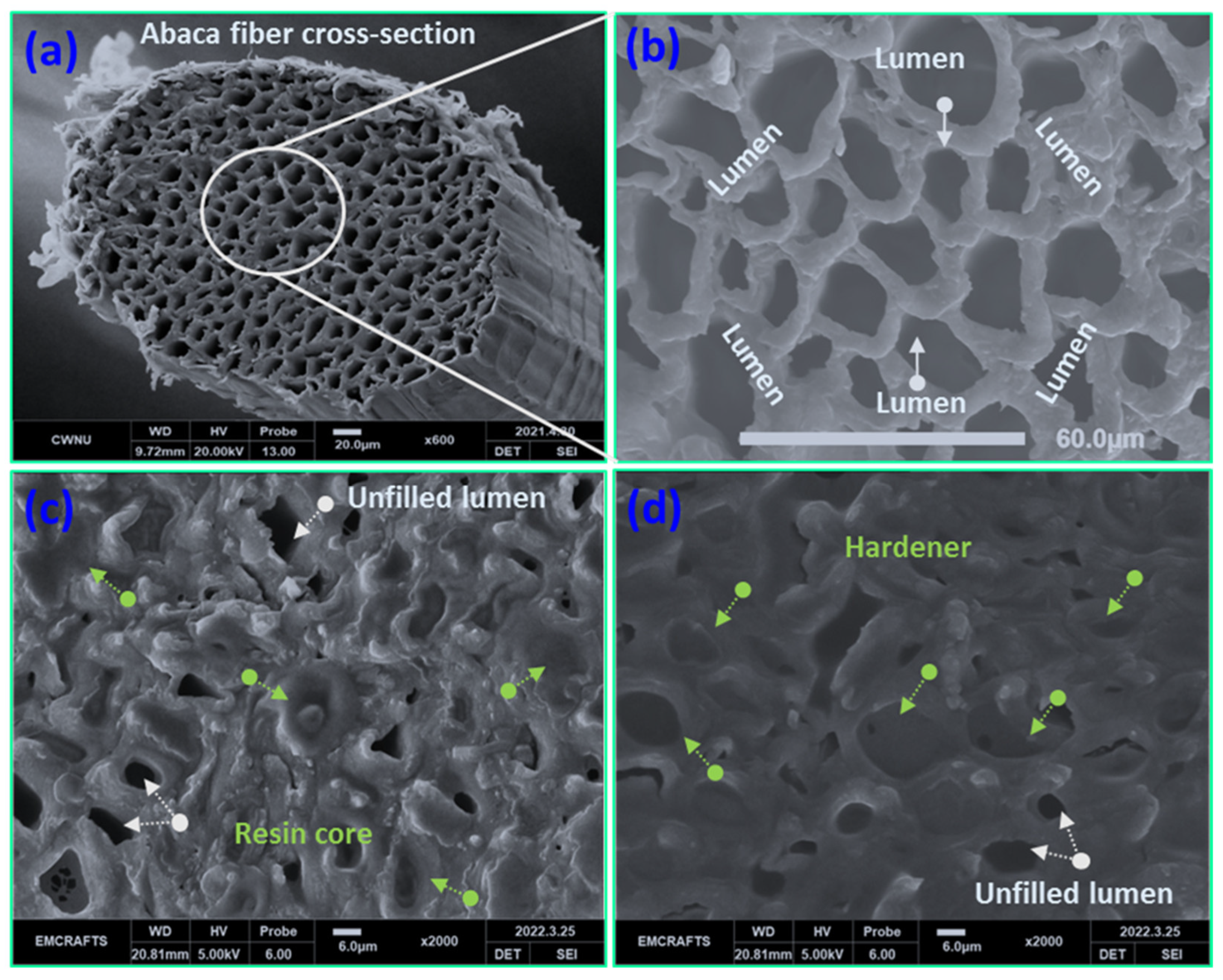 Polymers 15 02245 g003 Polymers 15 02245 g003