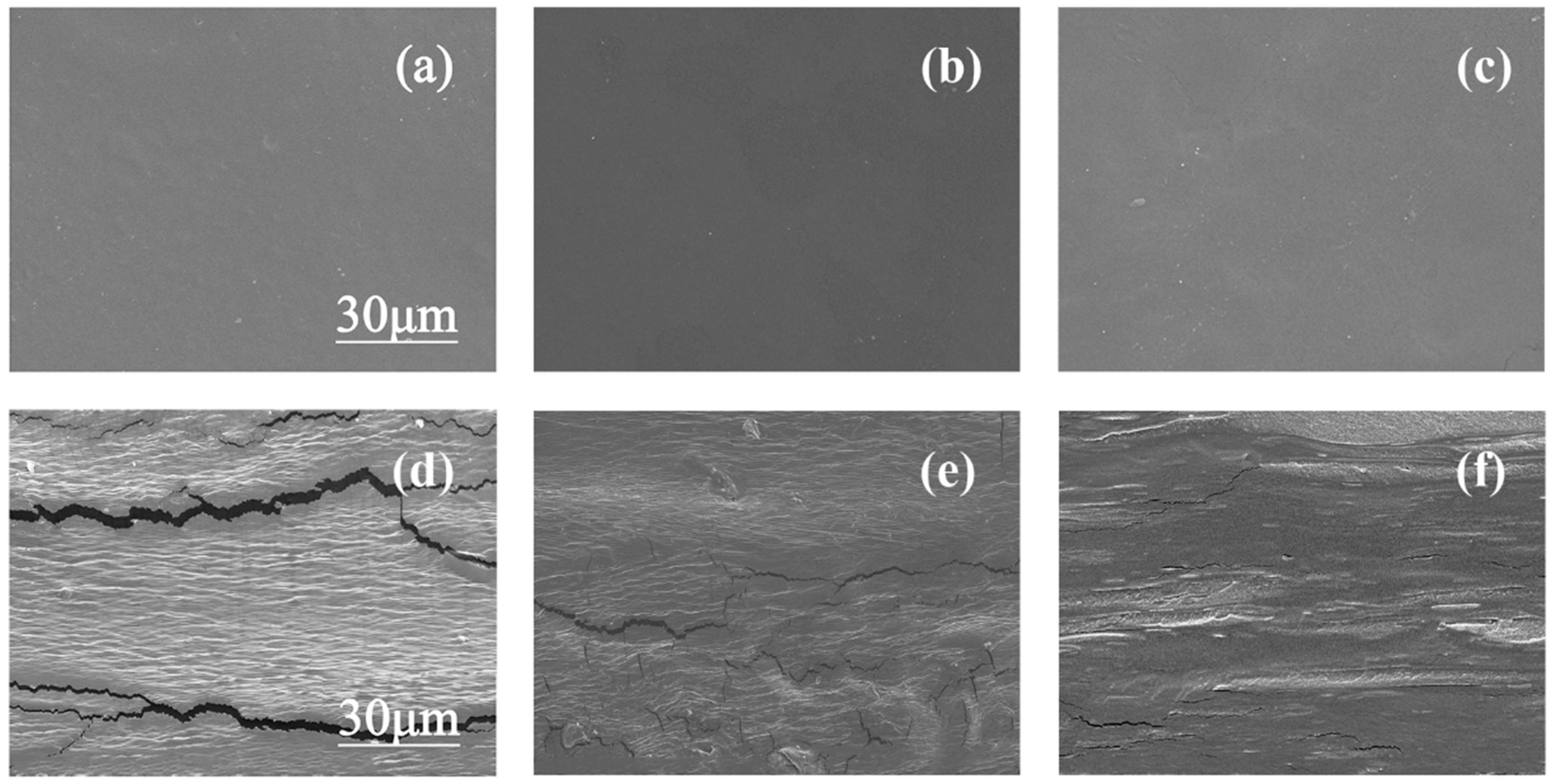 Polymers 15 02247 g006