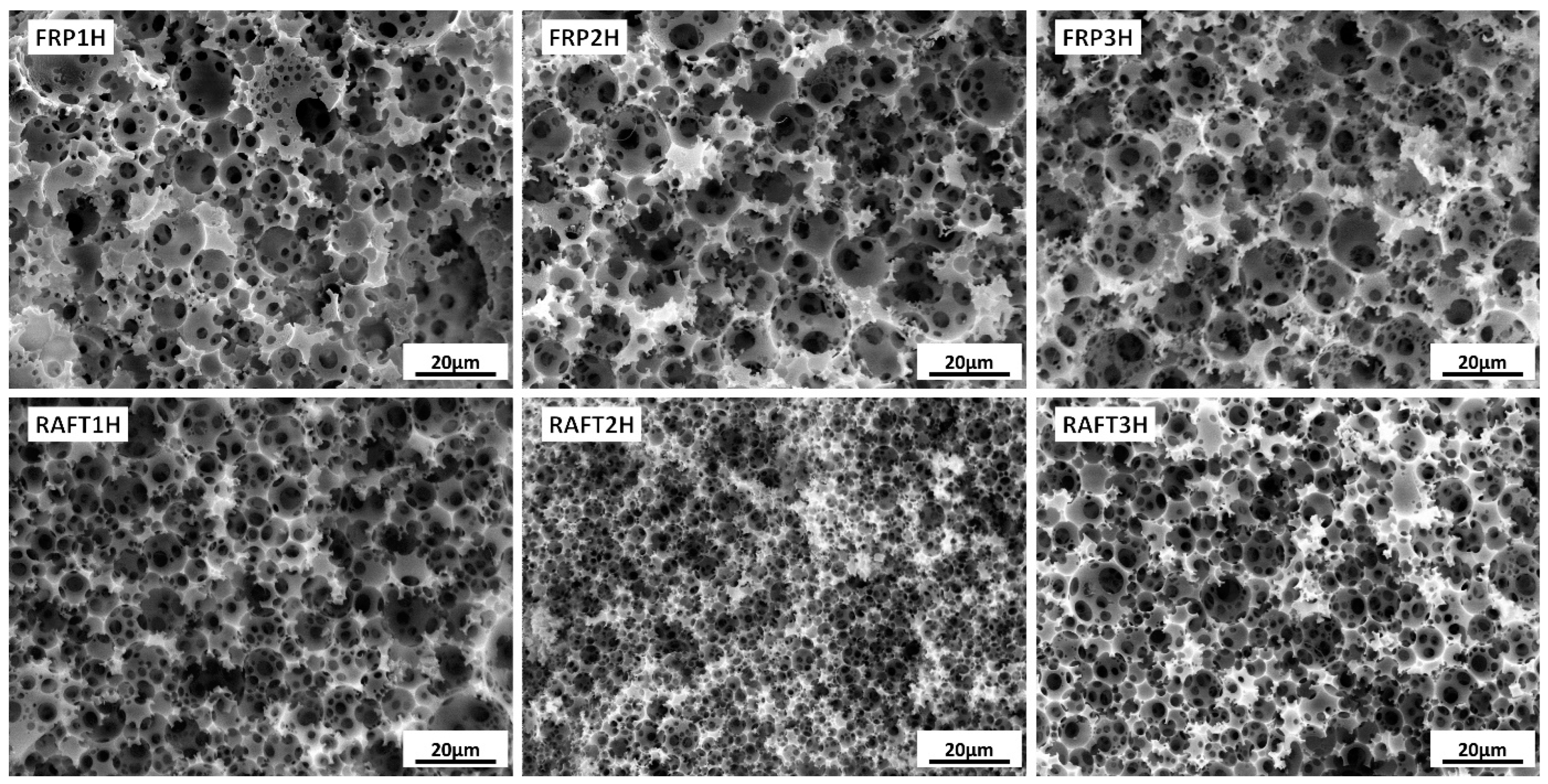 Polymers 15 02255 g004 Polymers 15 02255 g004