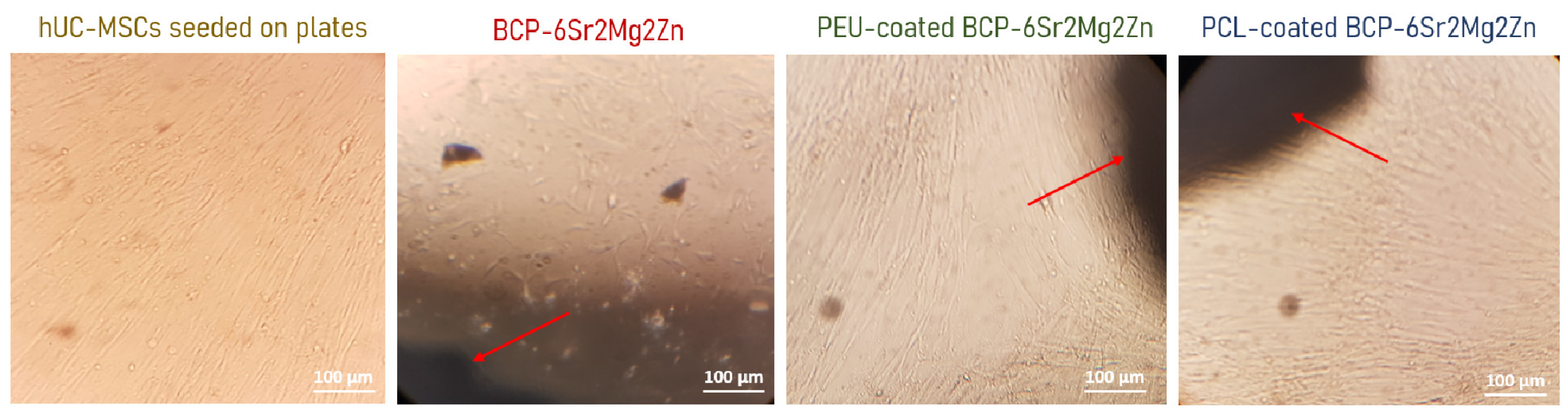 Polymers 15 02256 g003