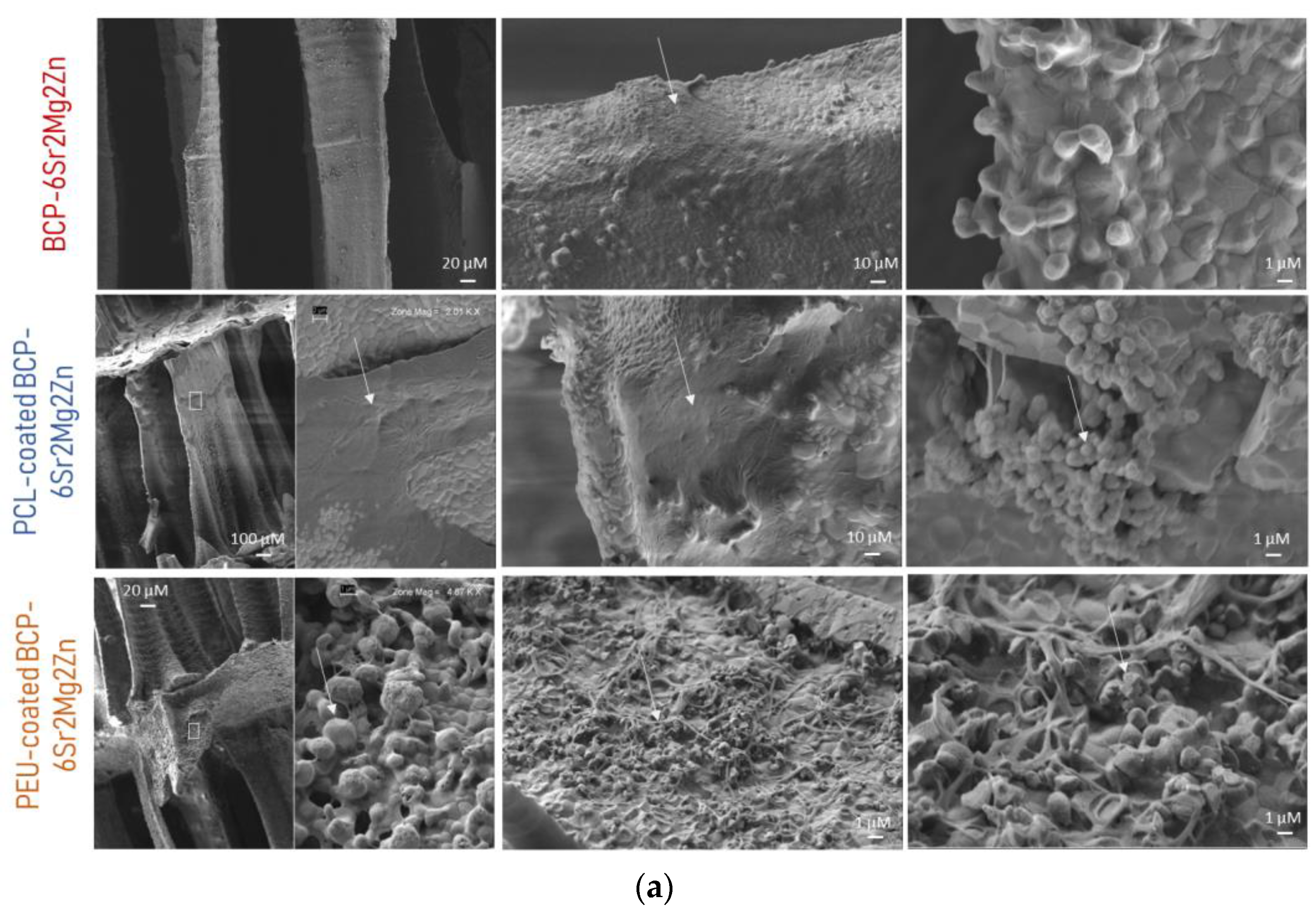 Polymers 15 02256 g004a