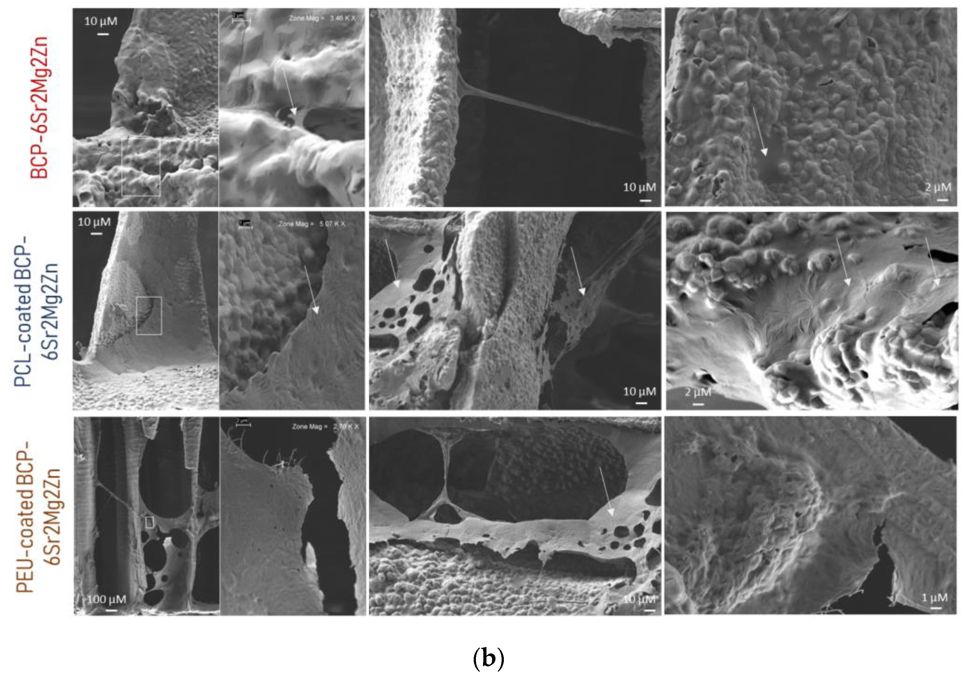 Polymers 15 02256 g004b