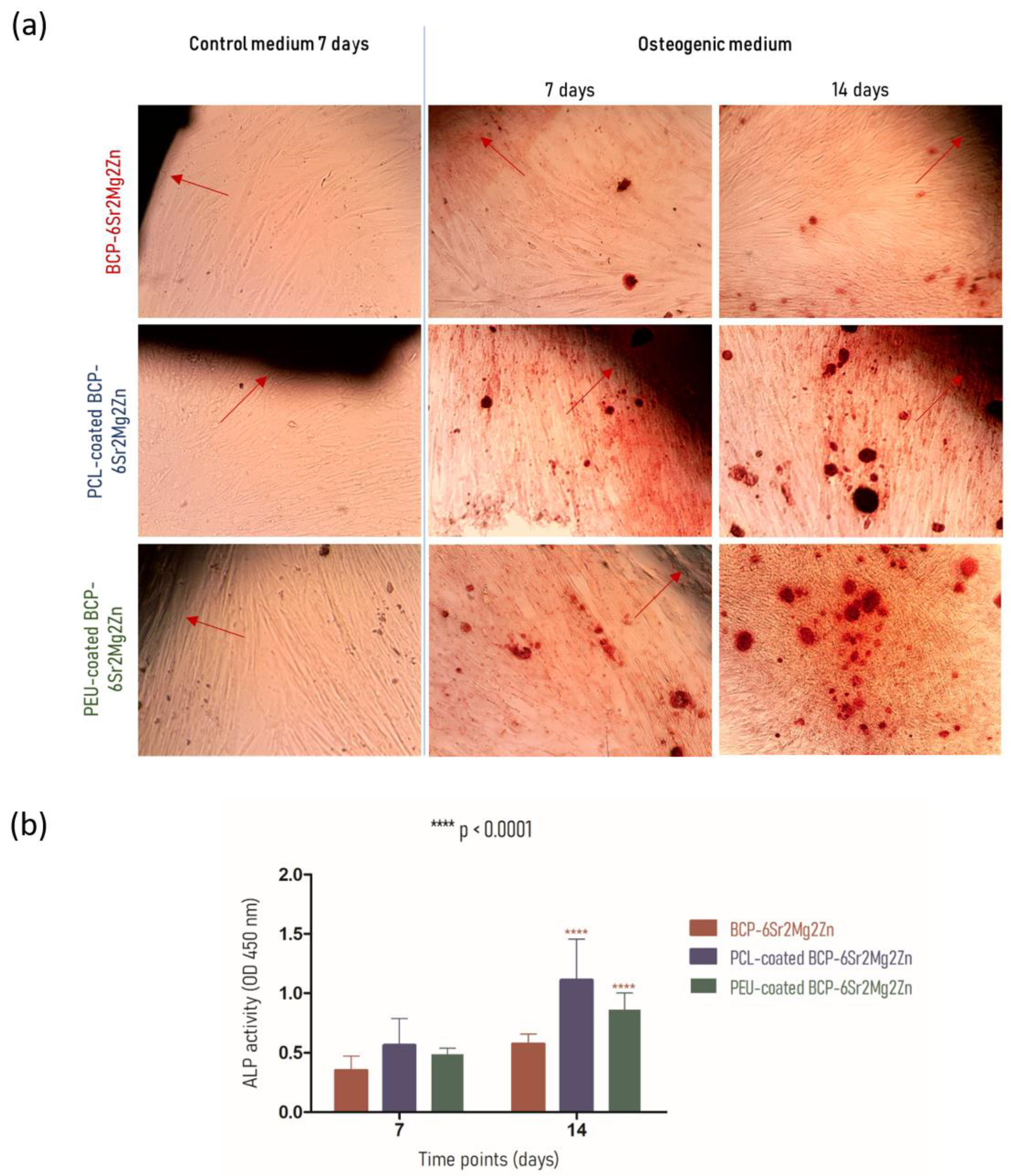 Polymers 15 02256 g006