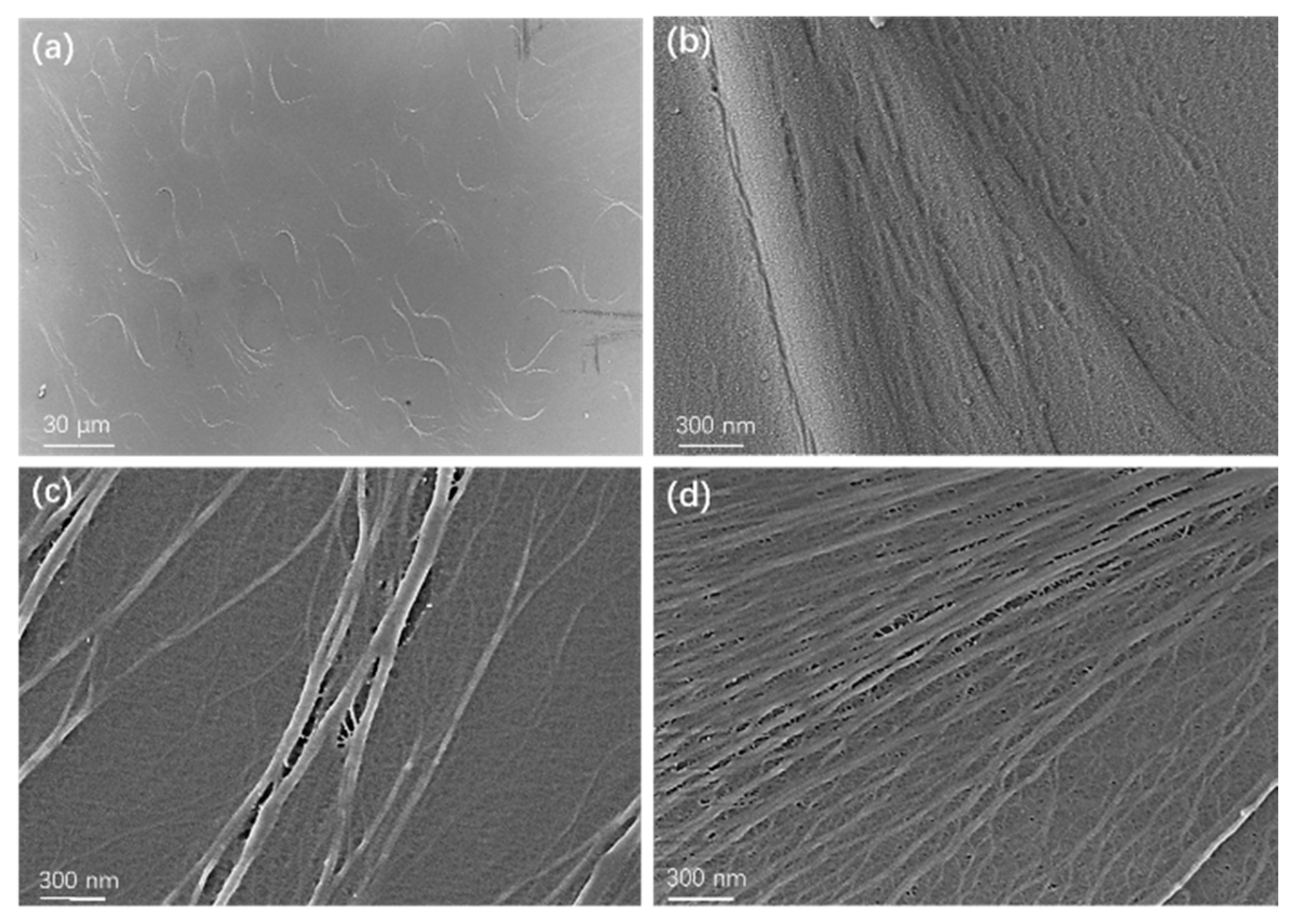 Polymers 15 02257 g004 Polymers 15 02257 g004