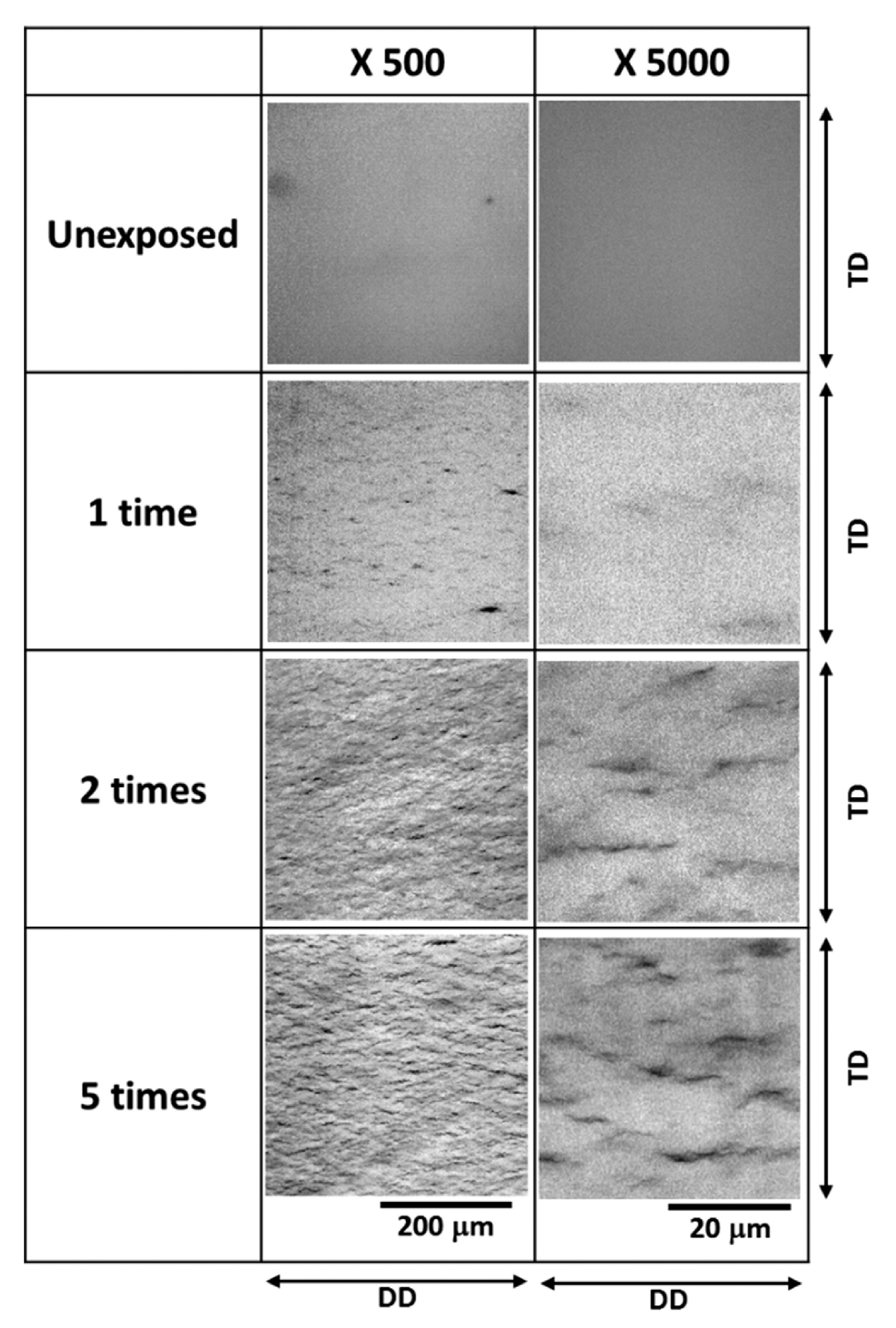 Polymers 15 02258 g004