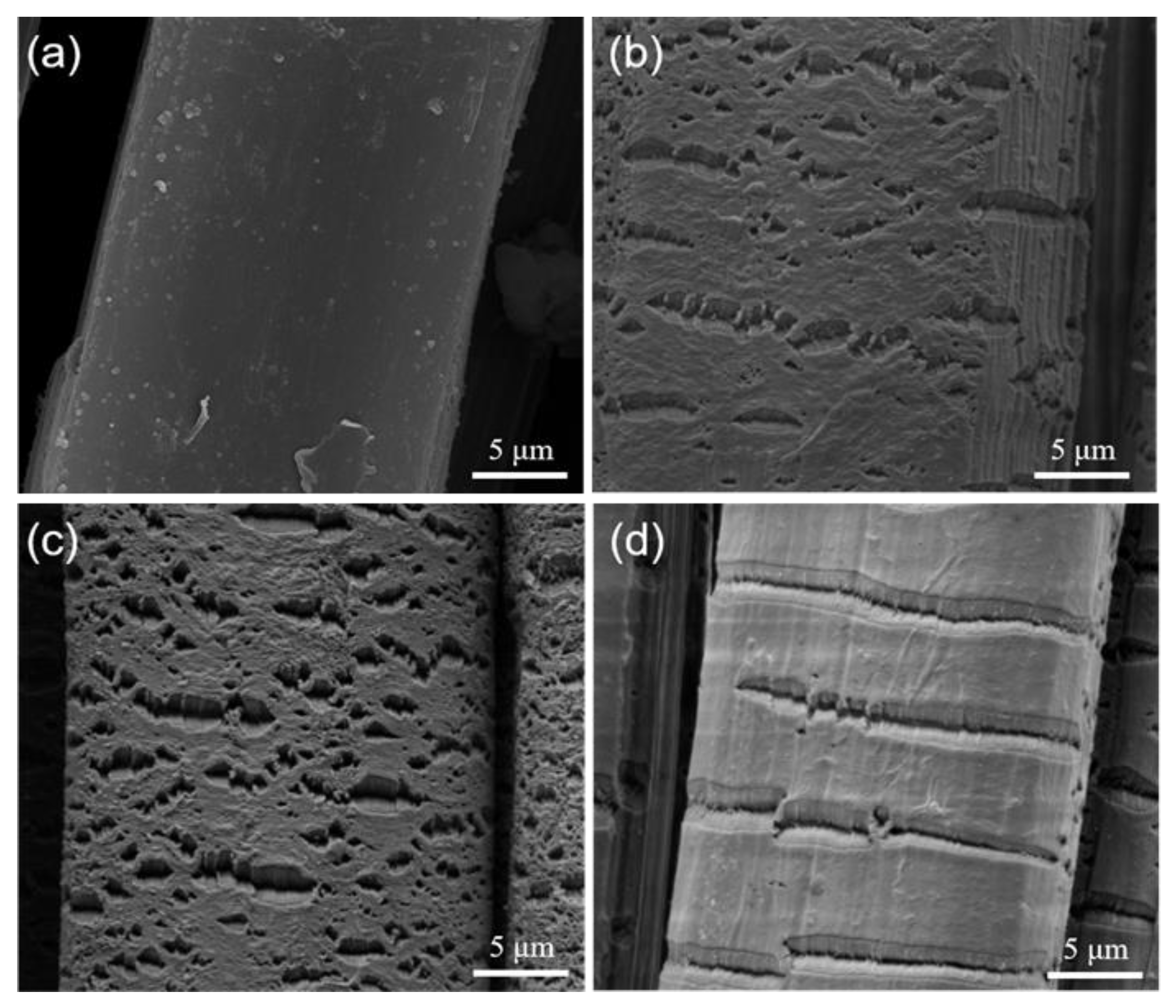 Polymers 15 02265 g010 Polymers 15 02265 g010