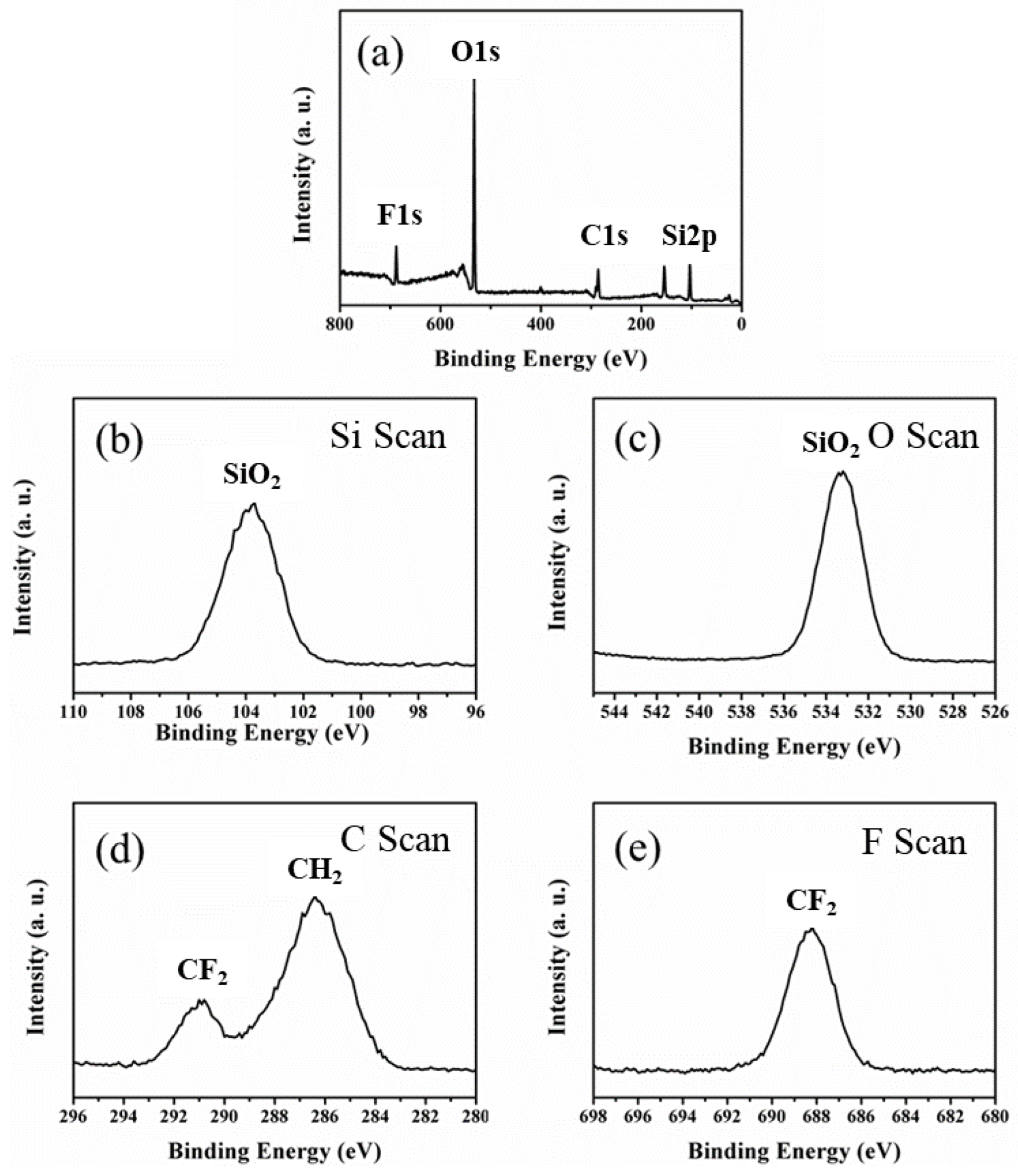 Polymers 15 02270 g002