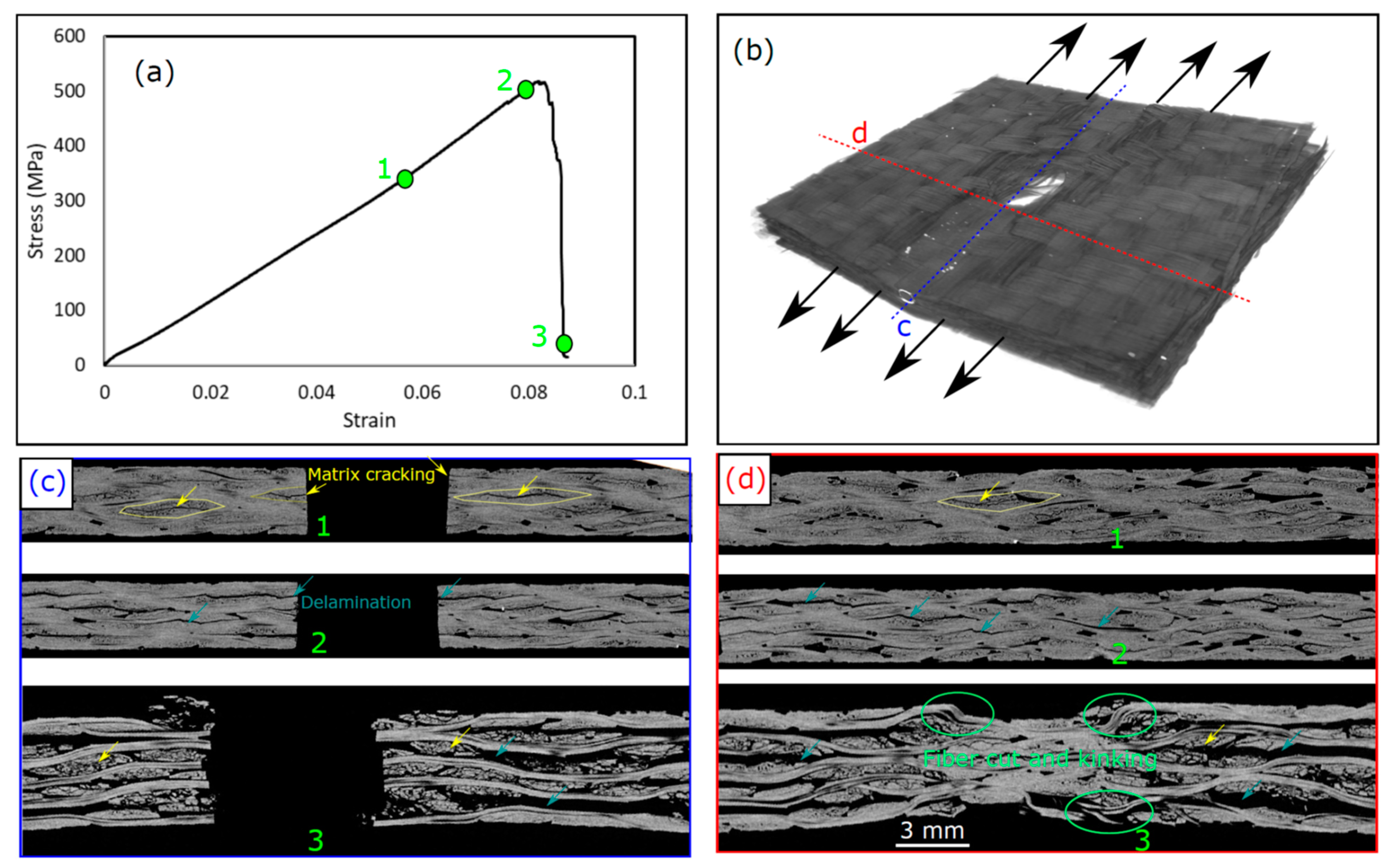 Polymers 15 02276 g007 Polymers 15 02276 g007