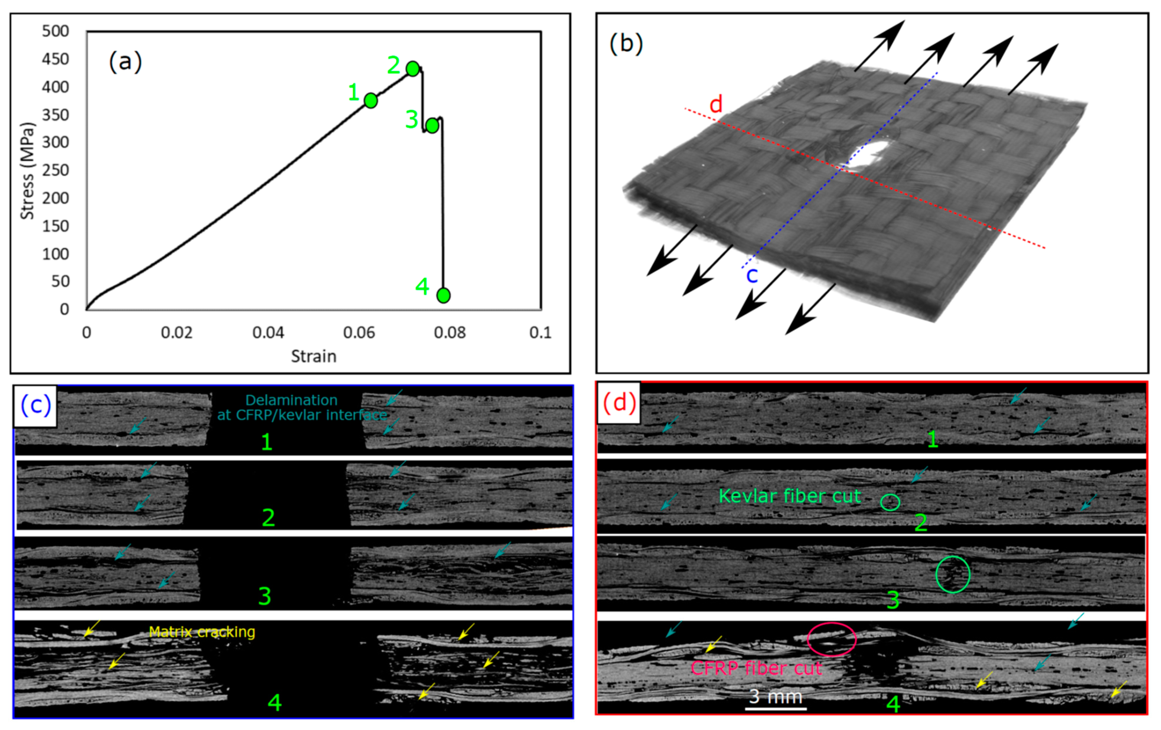 Polymers 15 02276 g009 Polymers 15 02276 g009
