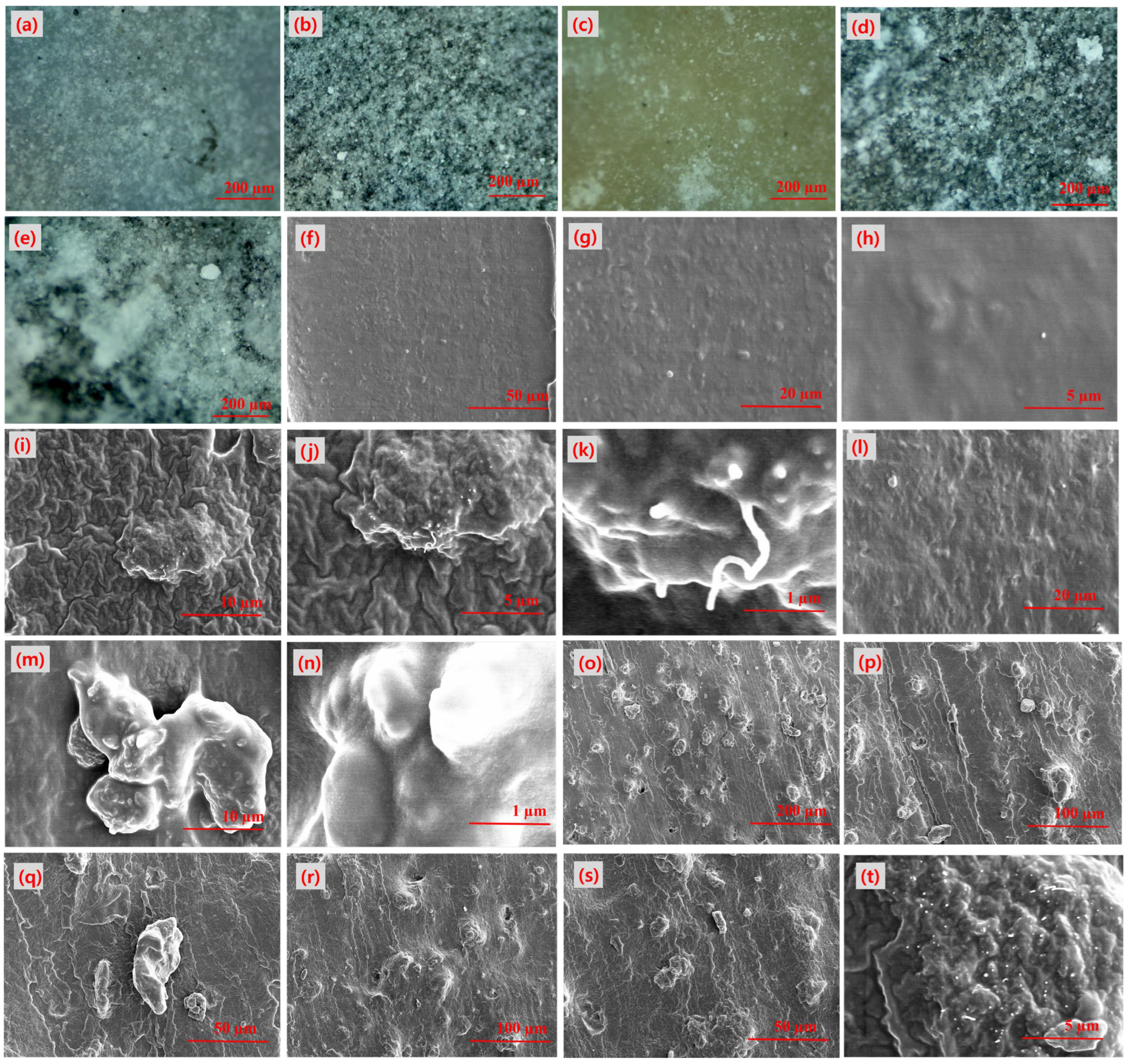 Polymers 15 02287 g002