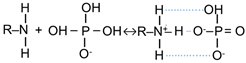 Polymers 15 02288 i001