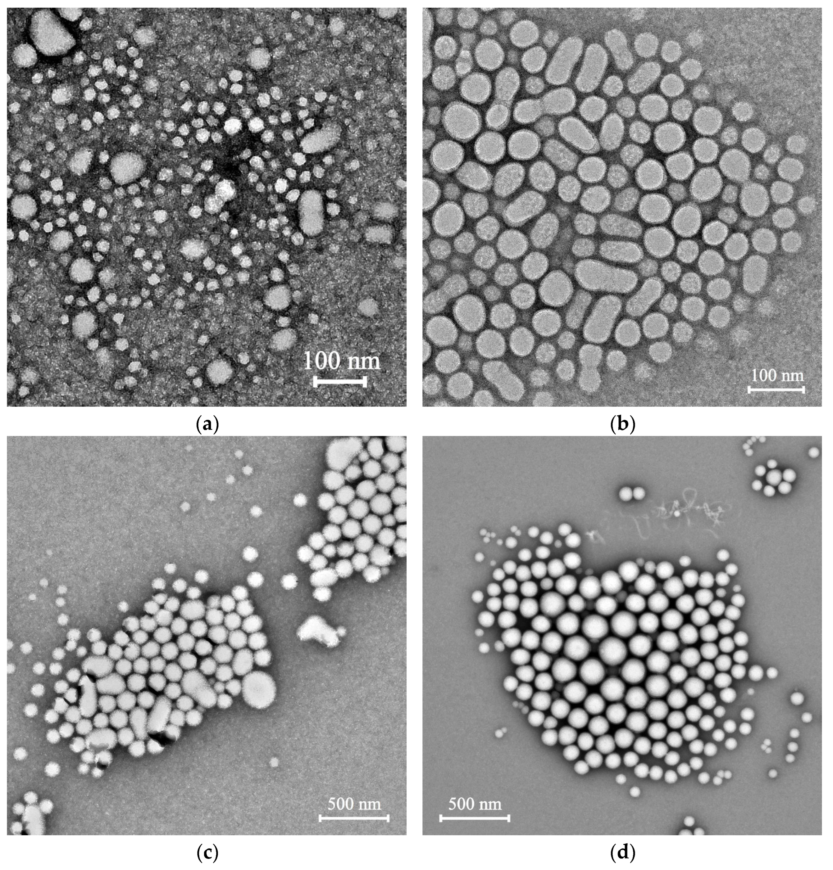 Polymers 15 02296 g002 Polymers 15 02296 g002