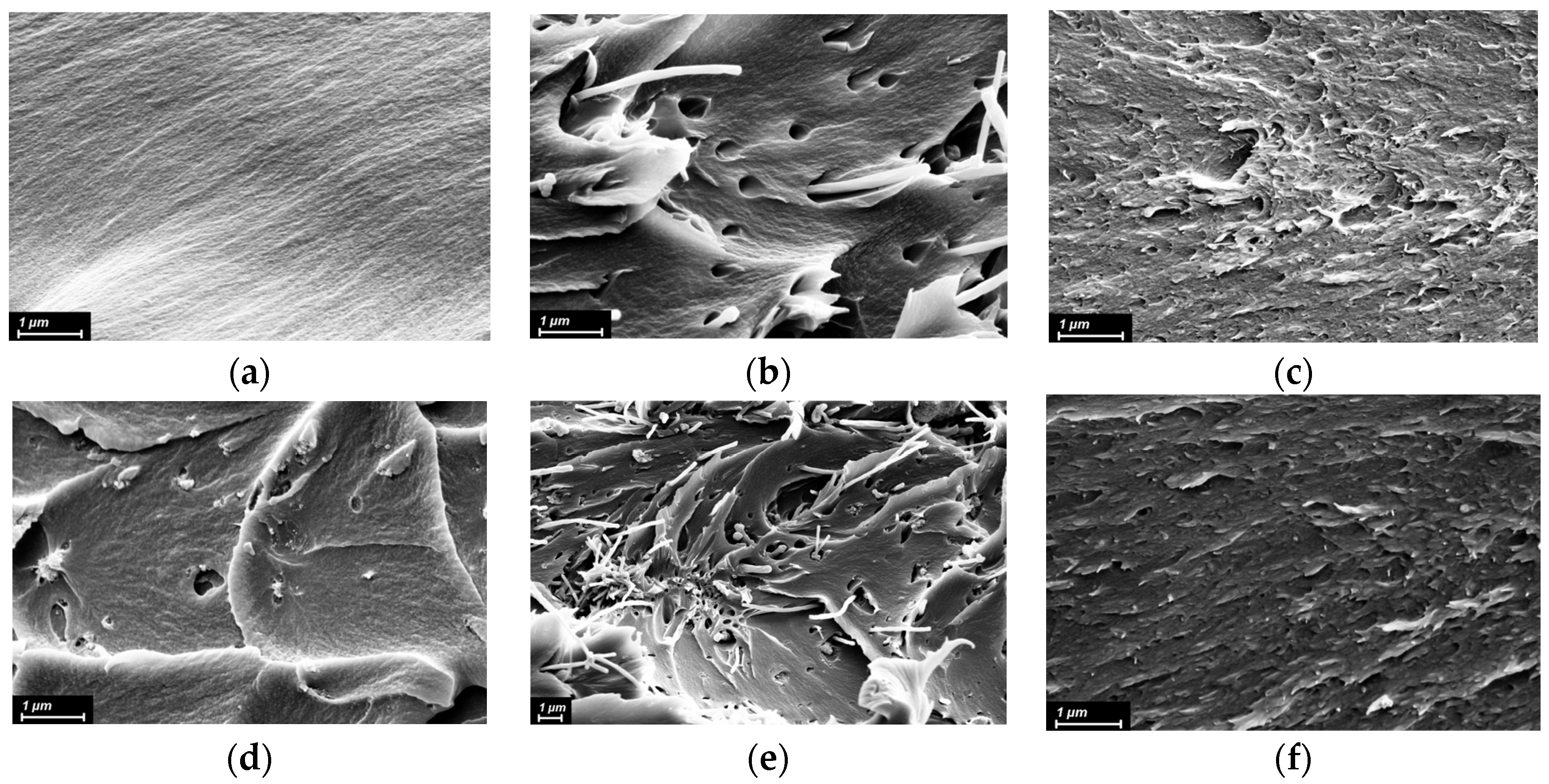 Polymers 15 02298 g003 Polymers 15 02298 g003