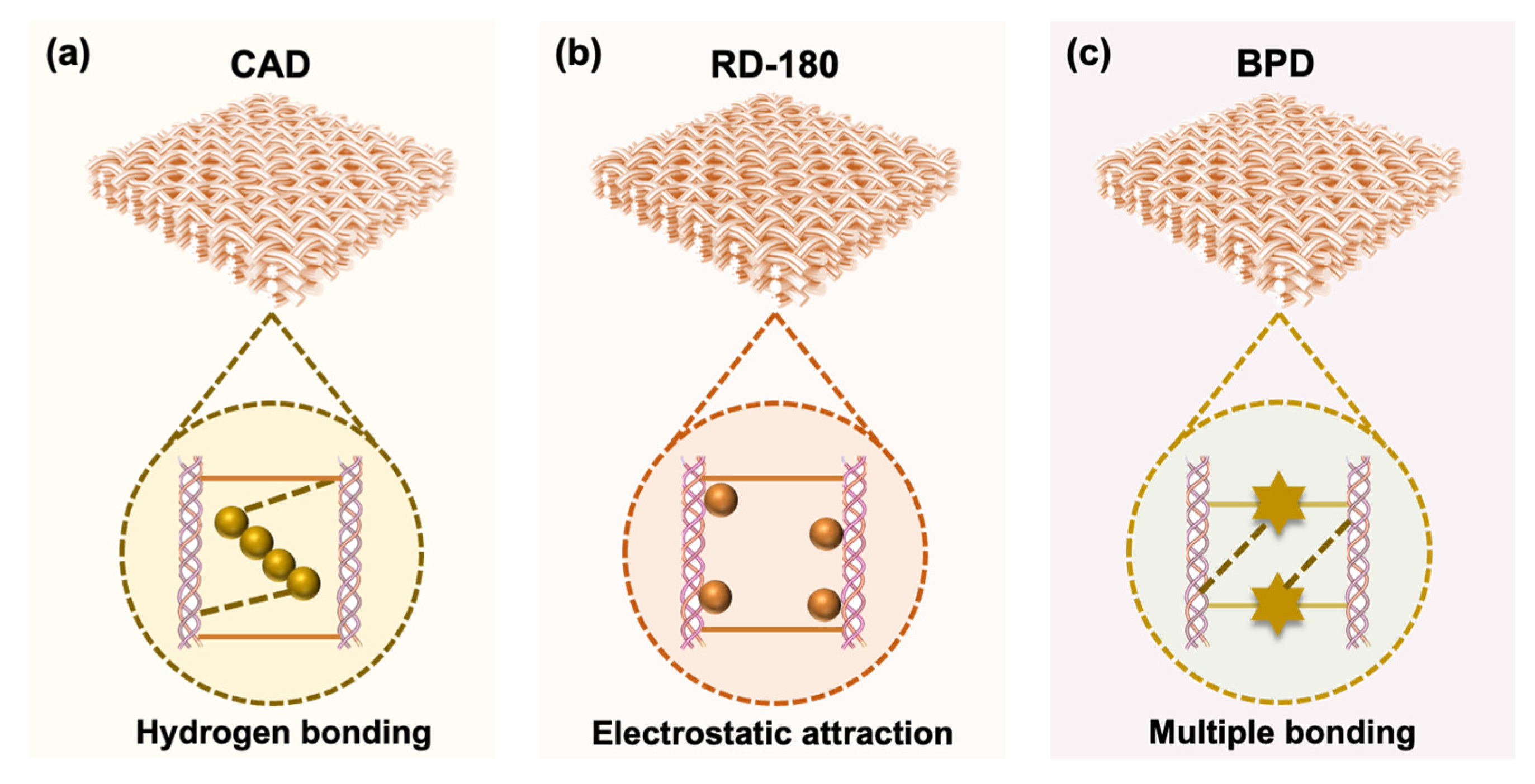 Polymers 15 02300 g007