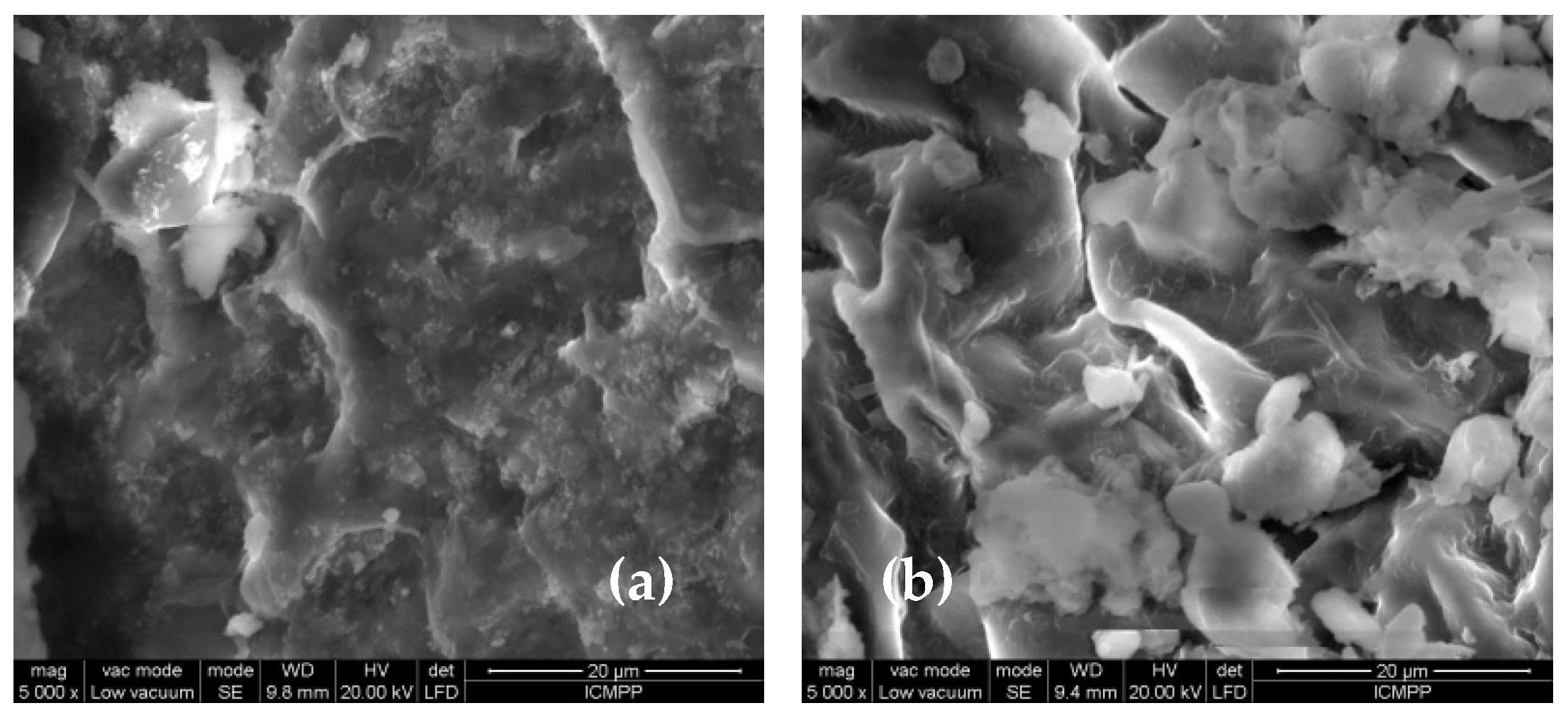 Polymers 15 02301 g004