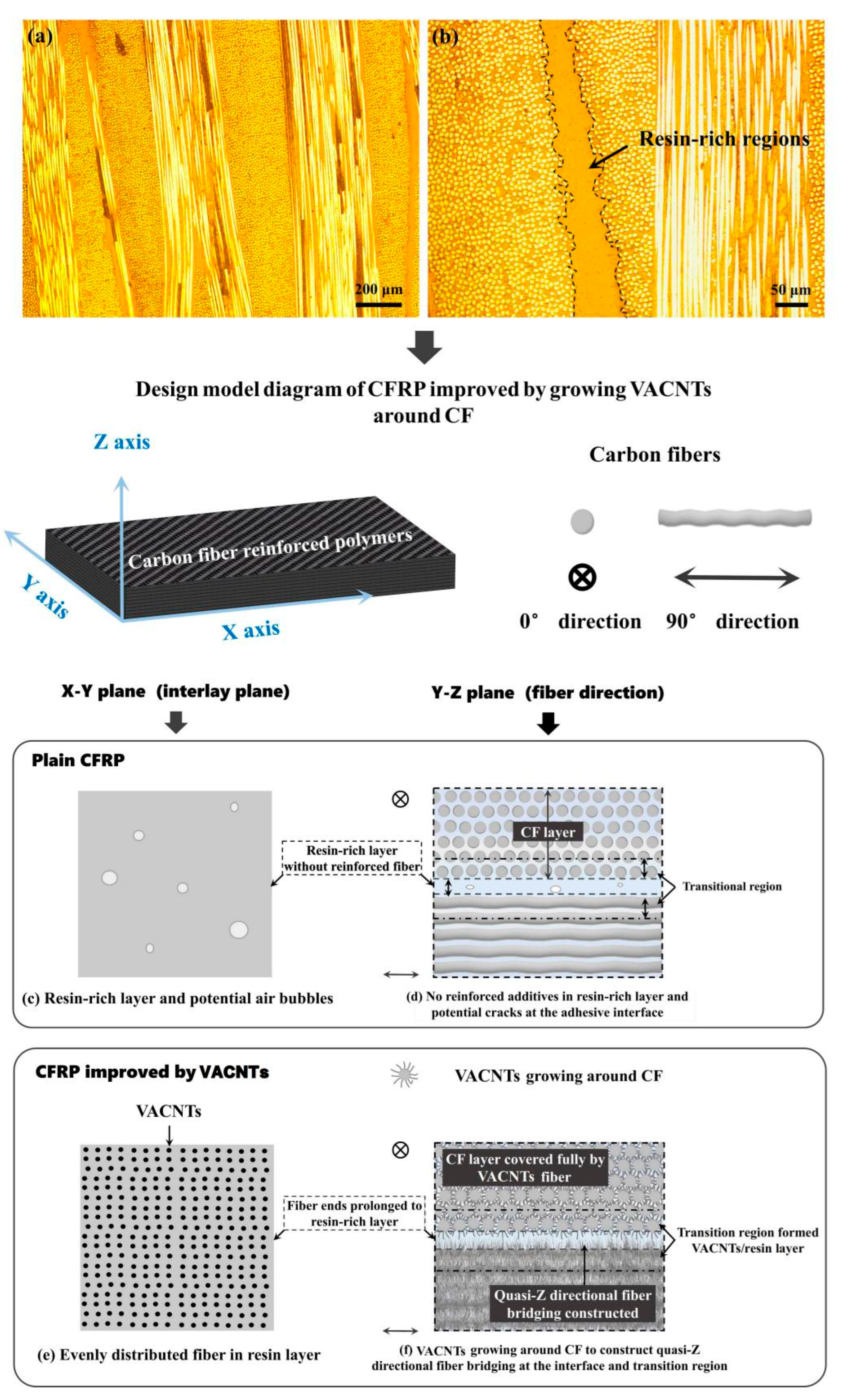 Growing Carbon Nanotubes In Situ Surrounding Carbon Fiber Surface via  Chemical Vapor Deposition to Reinforce Flexural Strength of Carbon Fiber  Composites