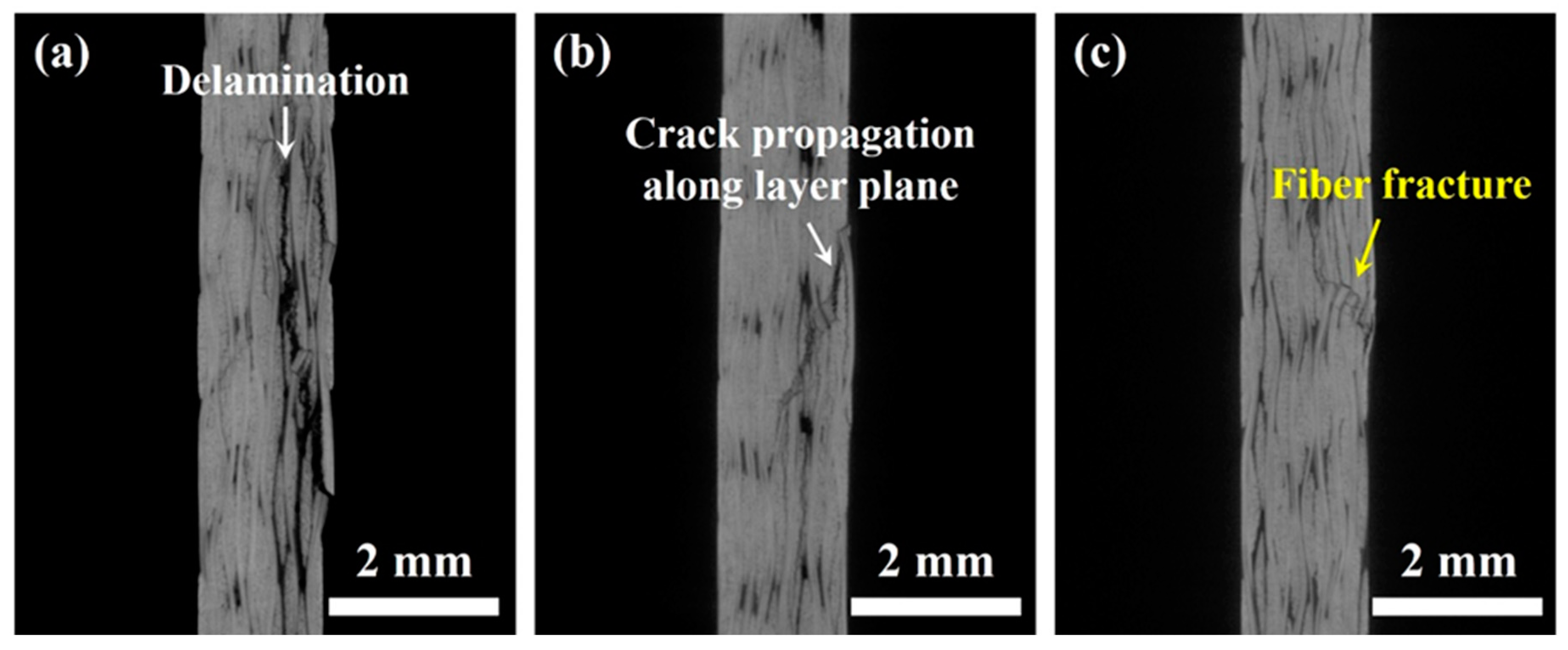 Polymers 15 02309 g006 Polymers 15 02309 g006