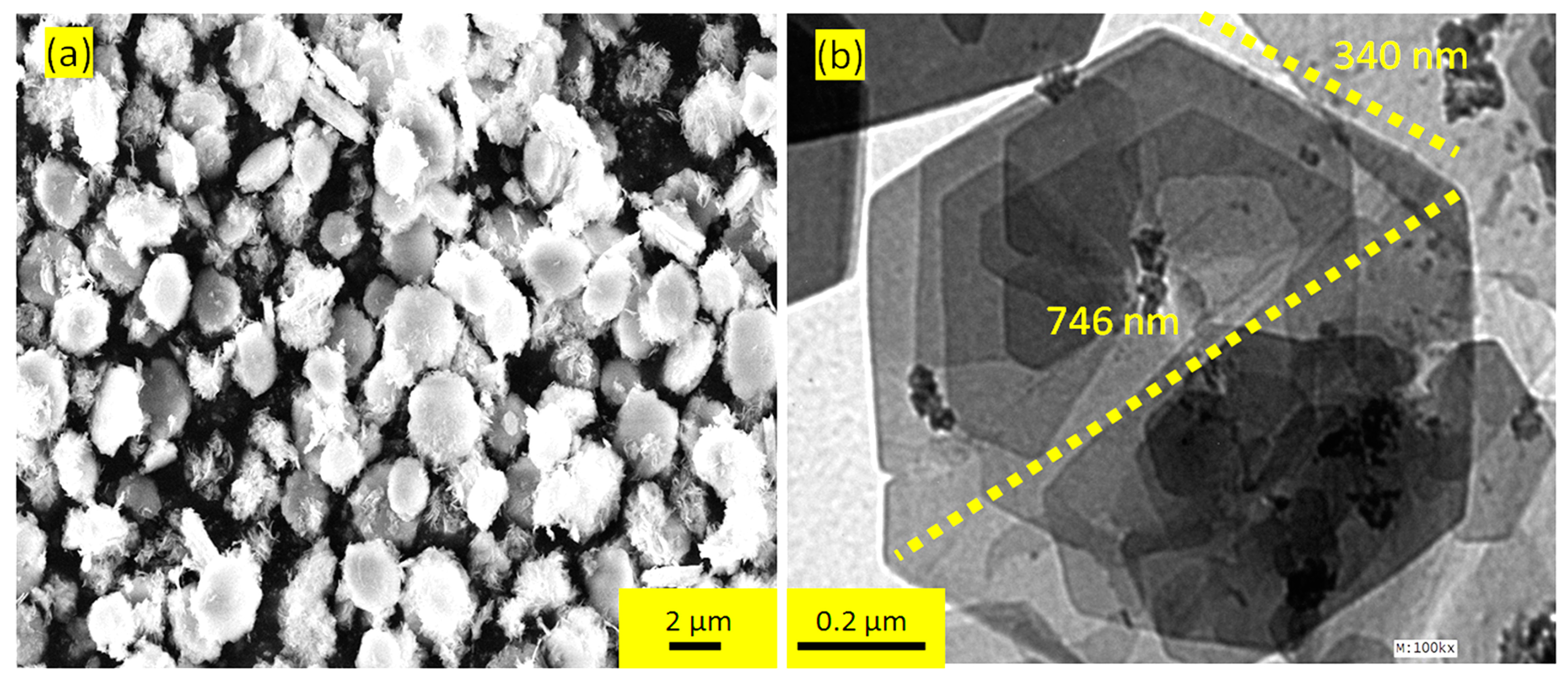 Polymers 15 02310 g001