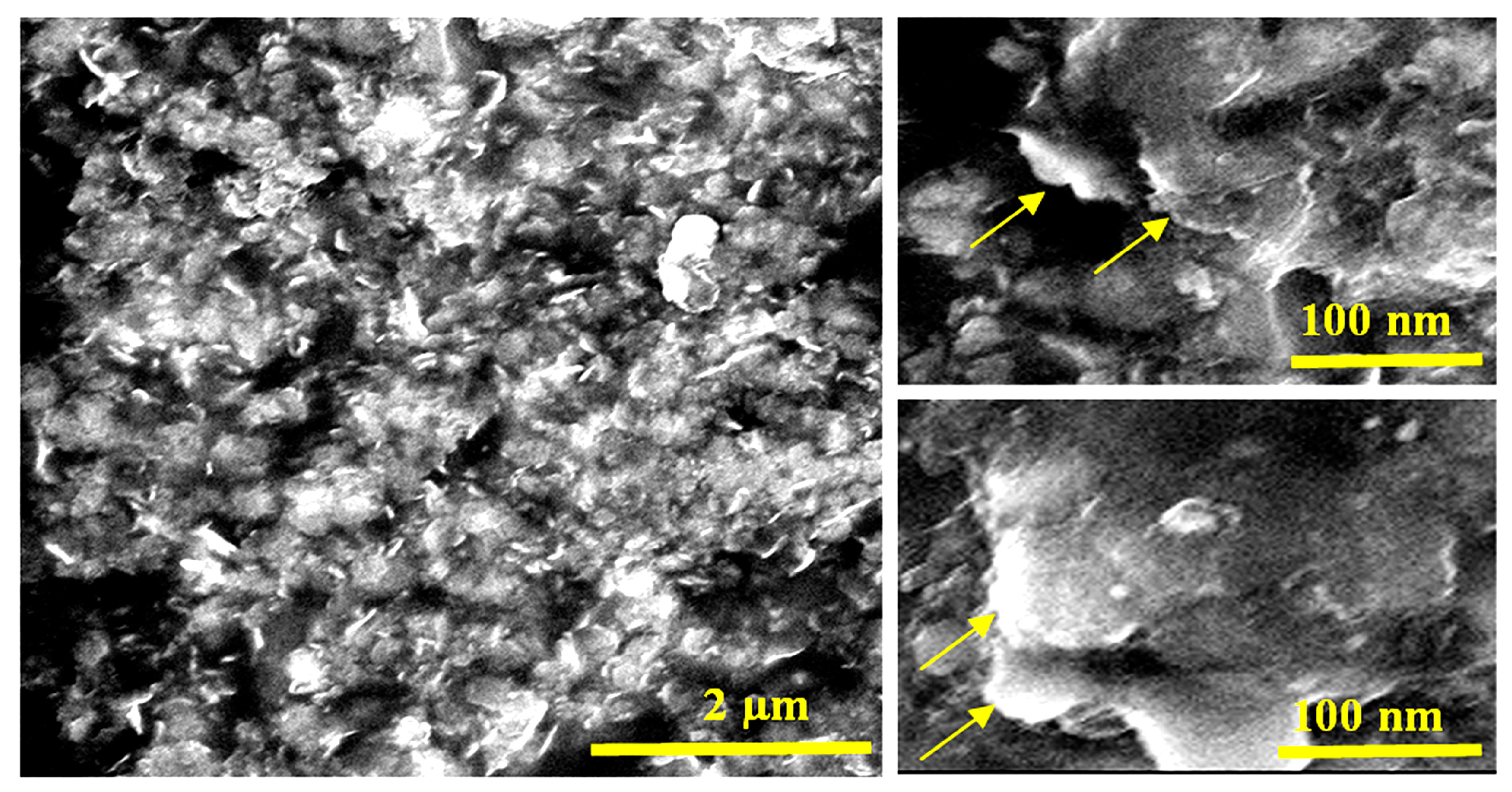 Polymers 15 02310 g015