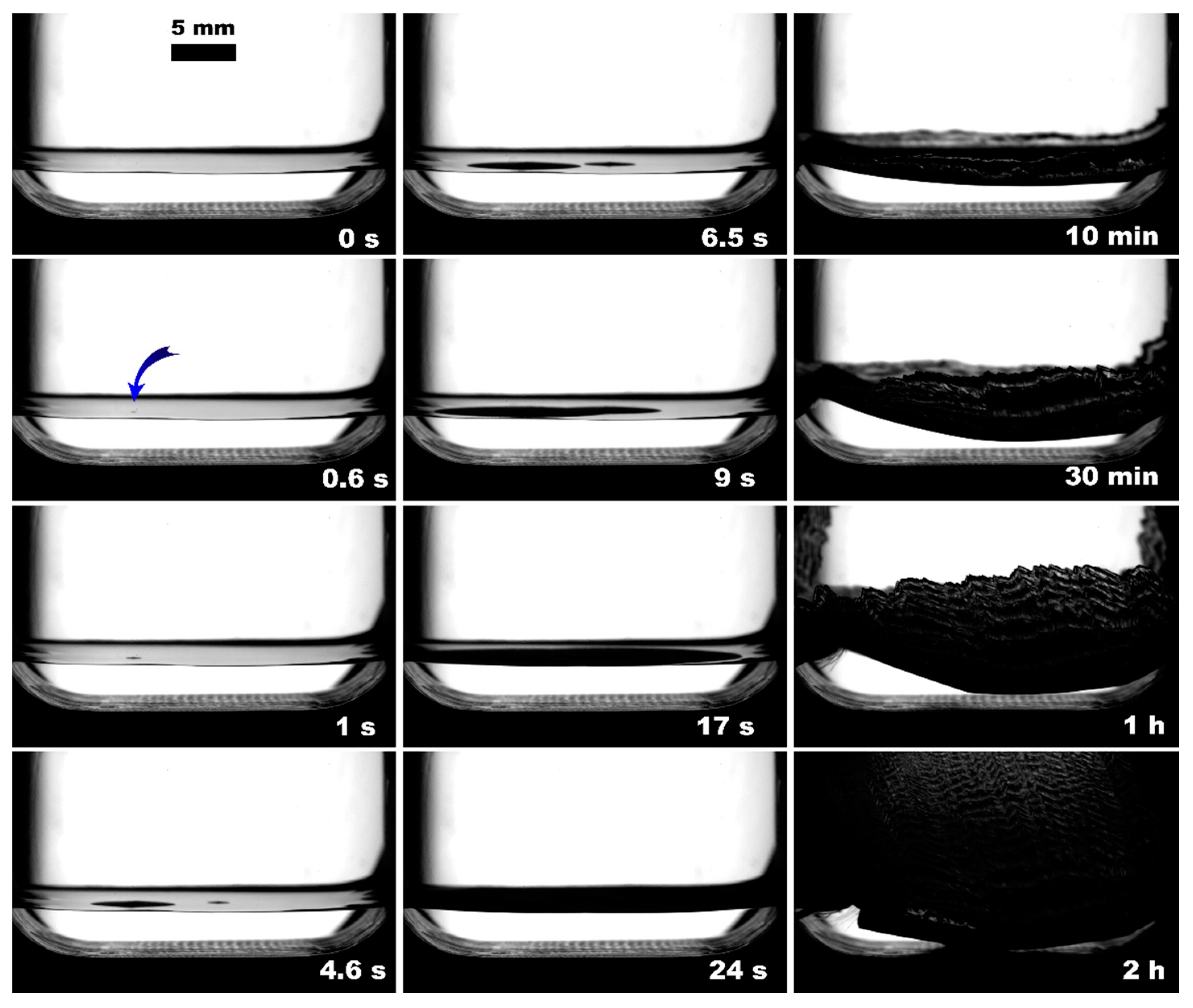 Polymers 15 02312 g004 Polymers 15 02312 g004