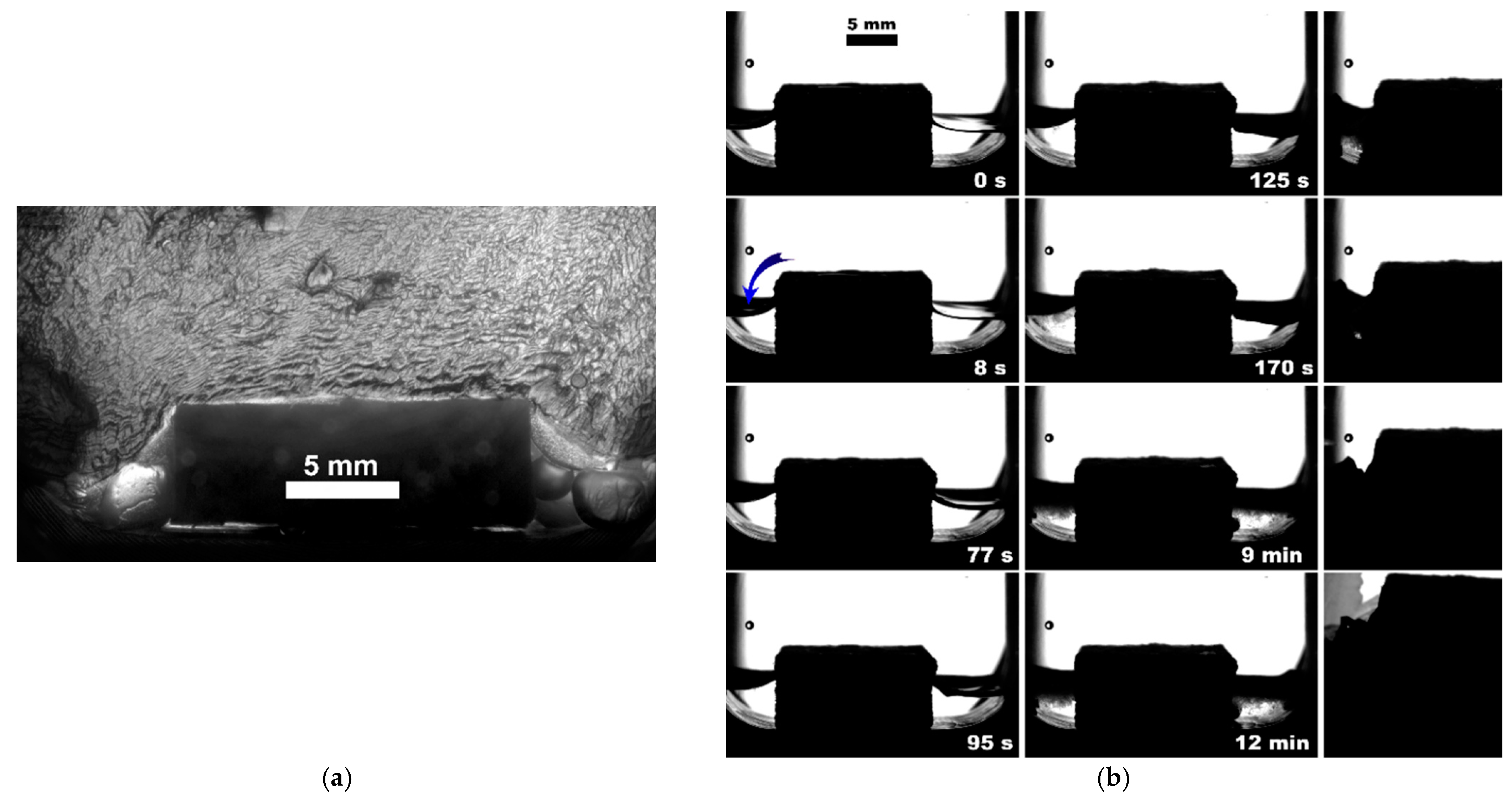 Polymers 15 02312 g005 Polymers 15 02312 g005